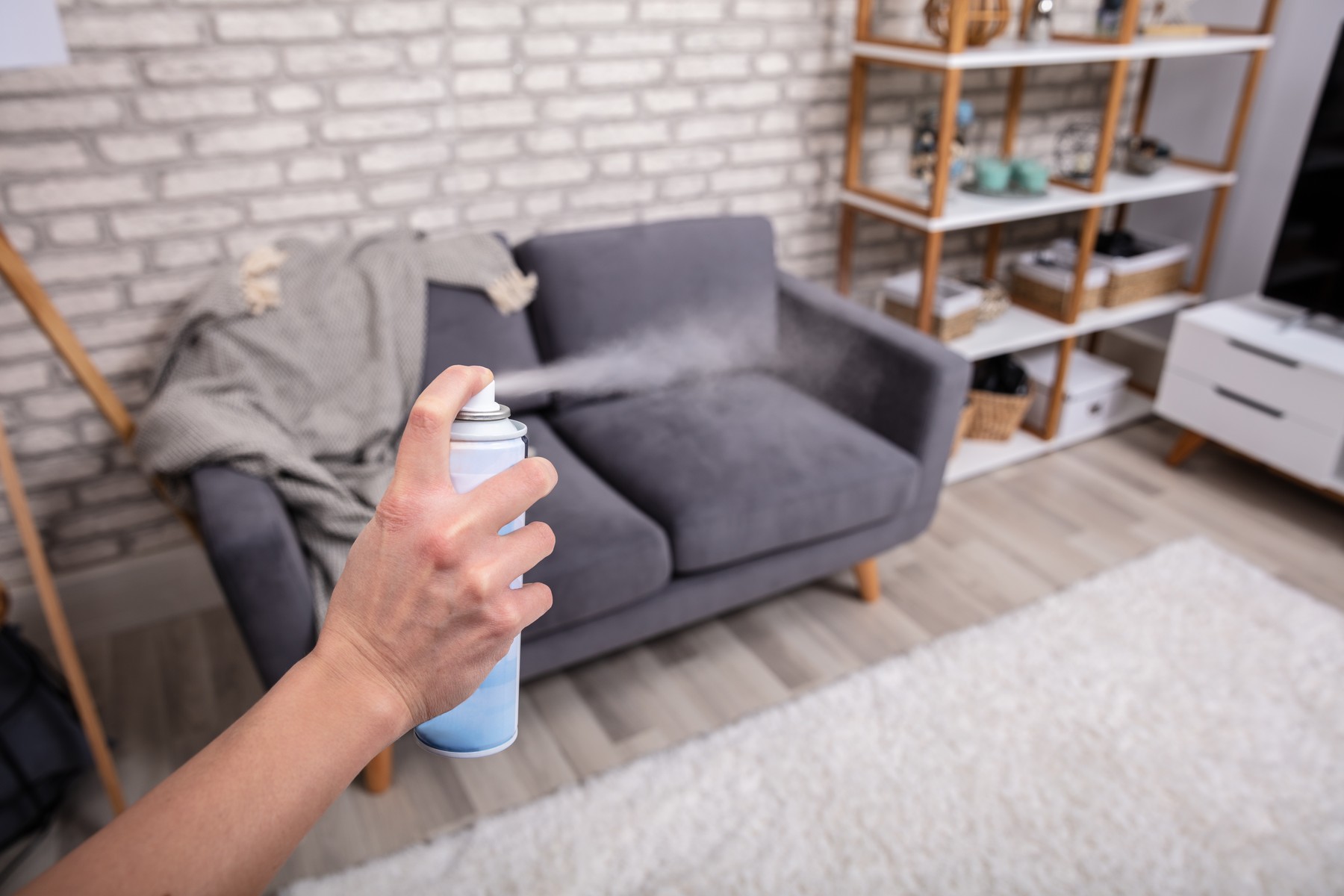 Human Spraying Air Freshener