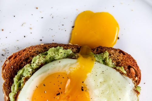 Toast with avocado and egg on white plate high view