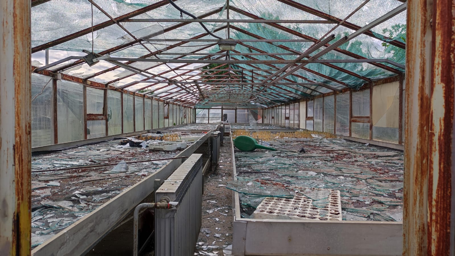 staklenik, nevrijeme