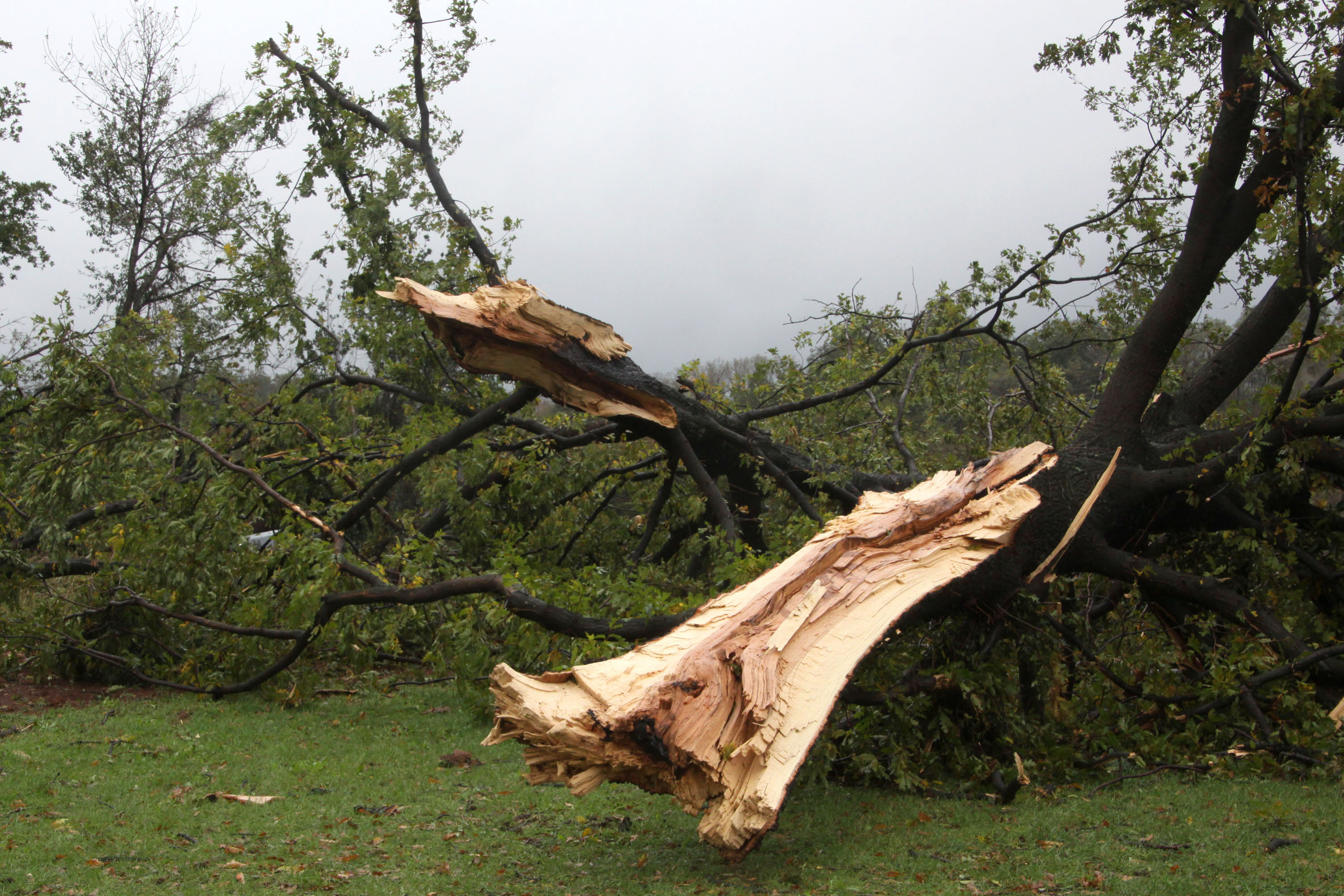 Pula: Pijavica poharala podru?je Barbantine u Istri