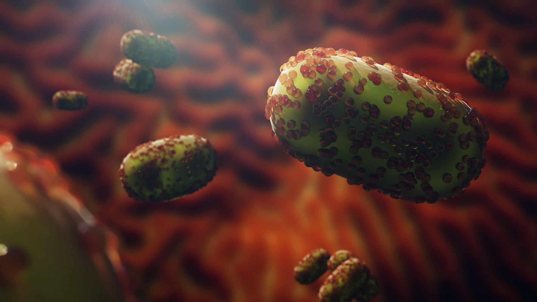 Monkeypox virus,  infectious zoonotic disease that causes illness in humans and other animals