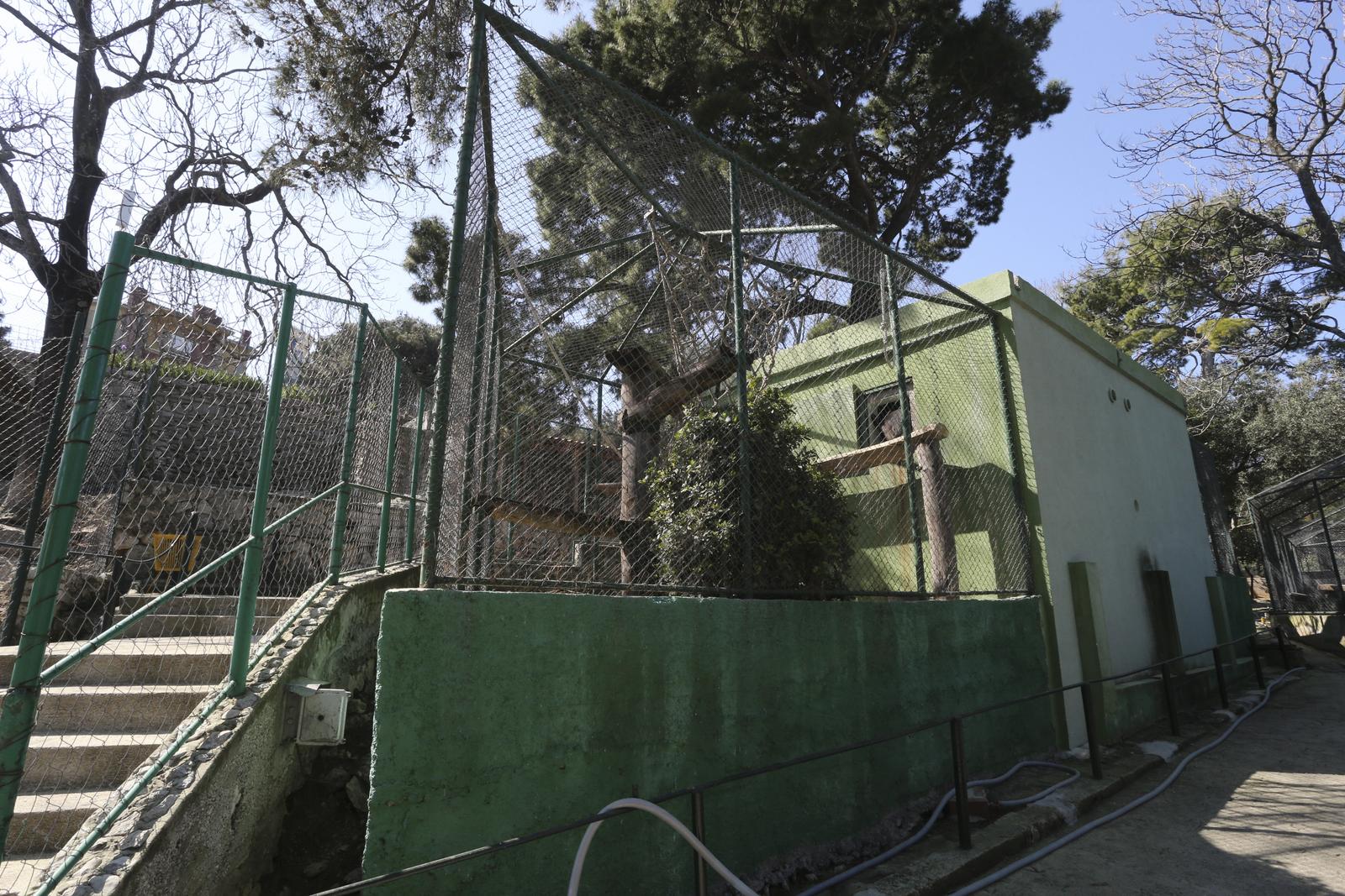 Split: Gradski zoološki vrt zatvorit će se zbog loših uvjeta u kojima životinje žive