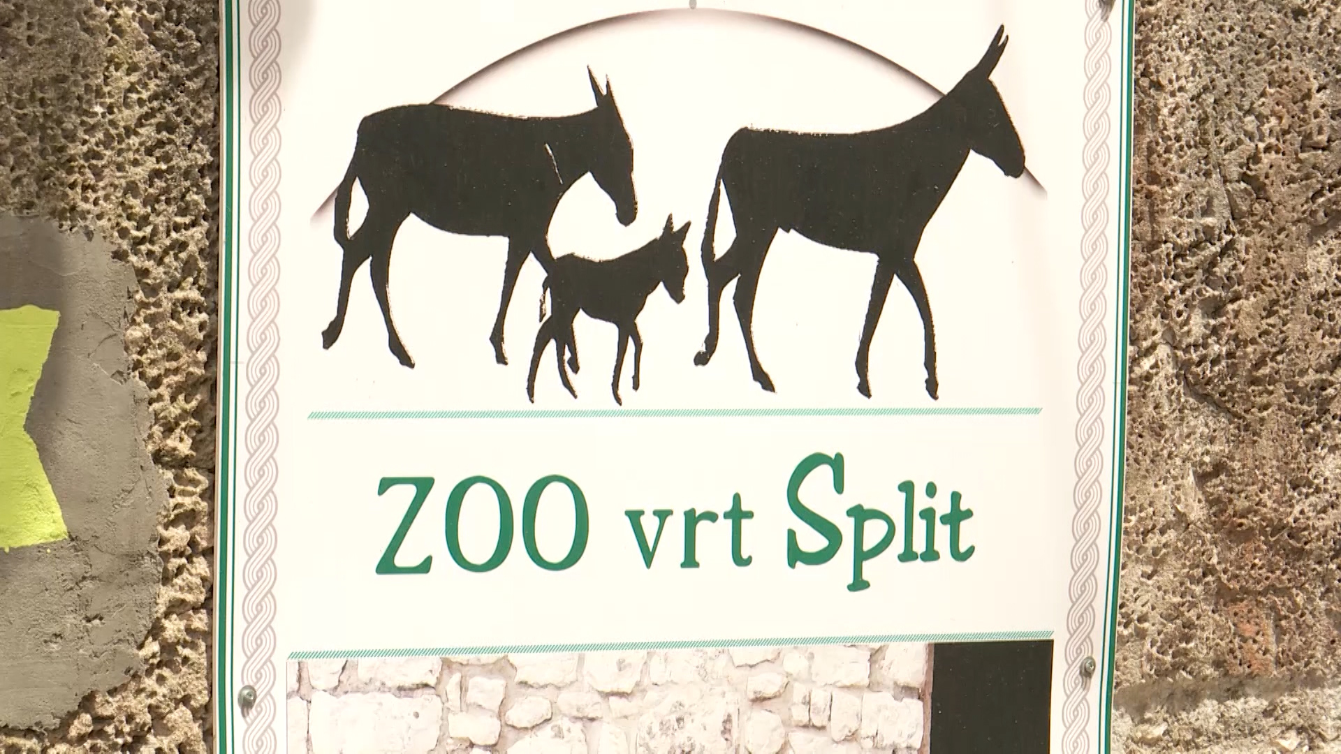 zoo split