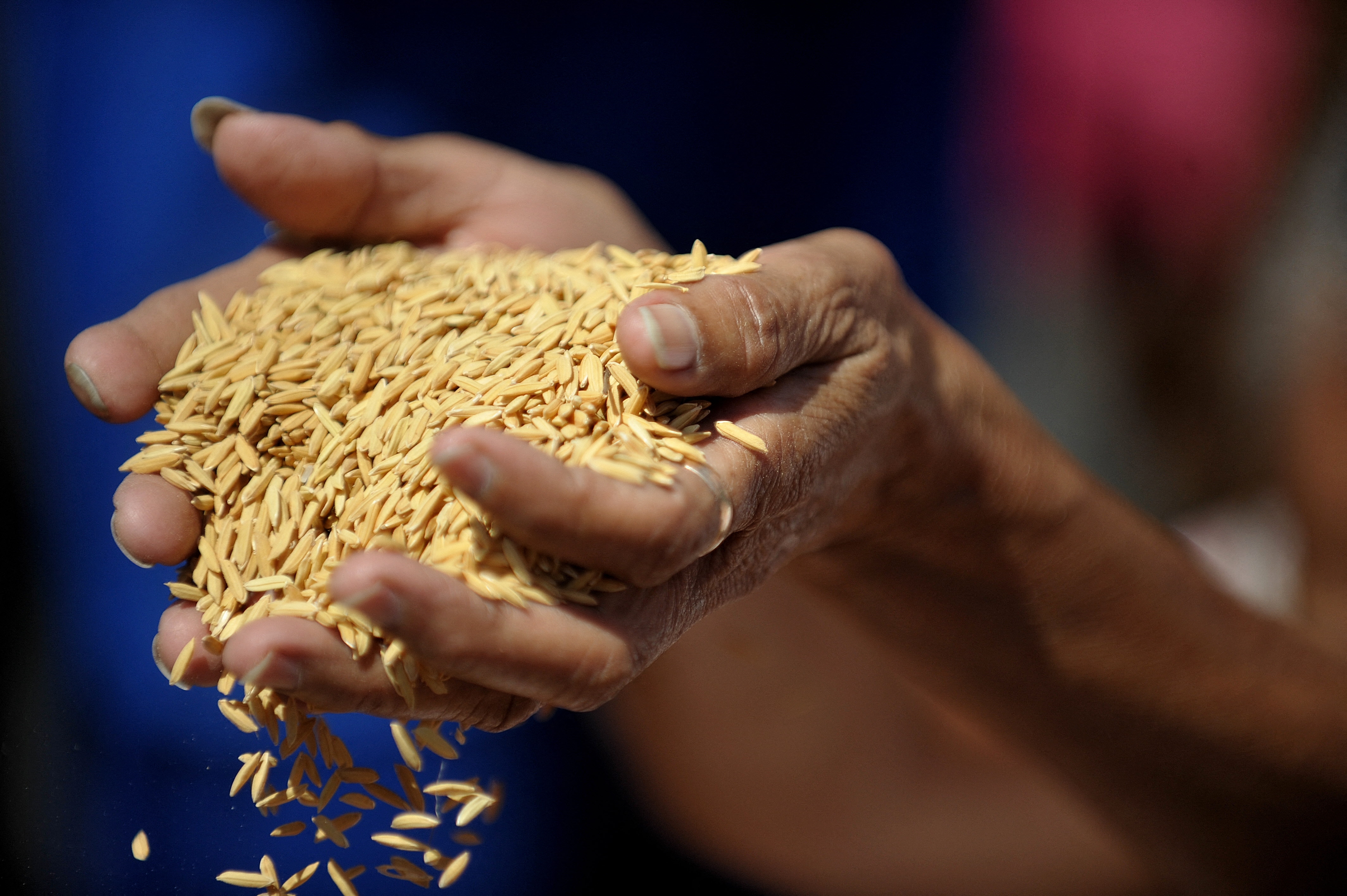 PHILIPPINES-WEATHER-EL NINO-AGRICULTURE