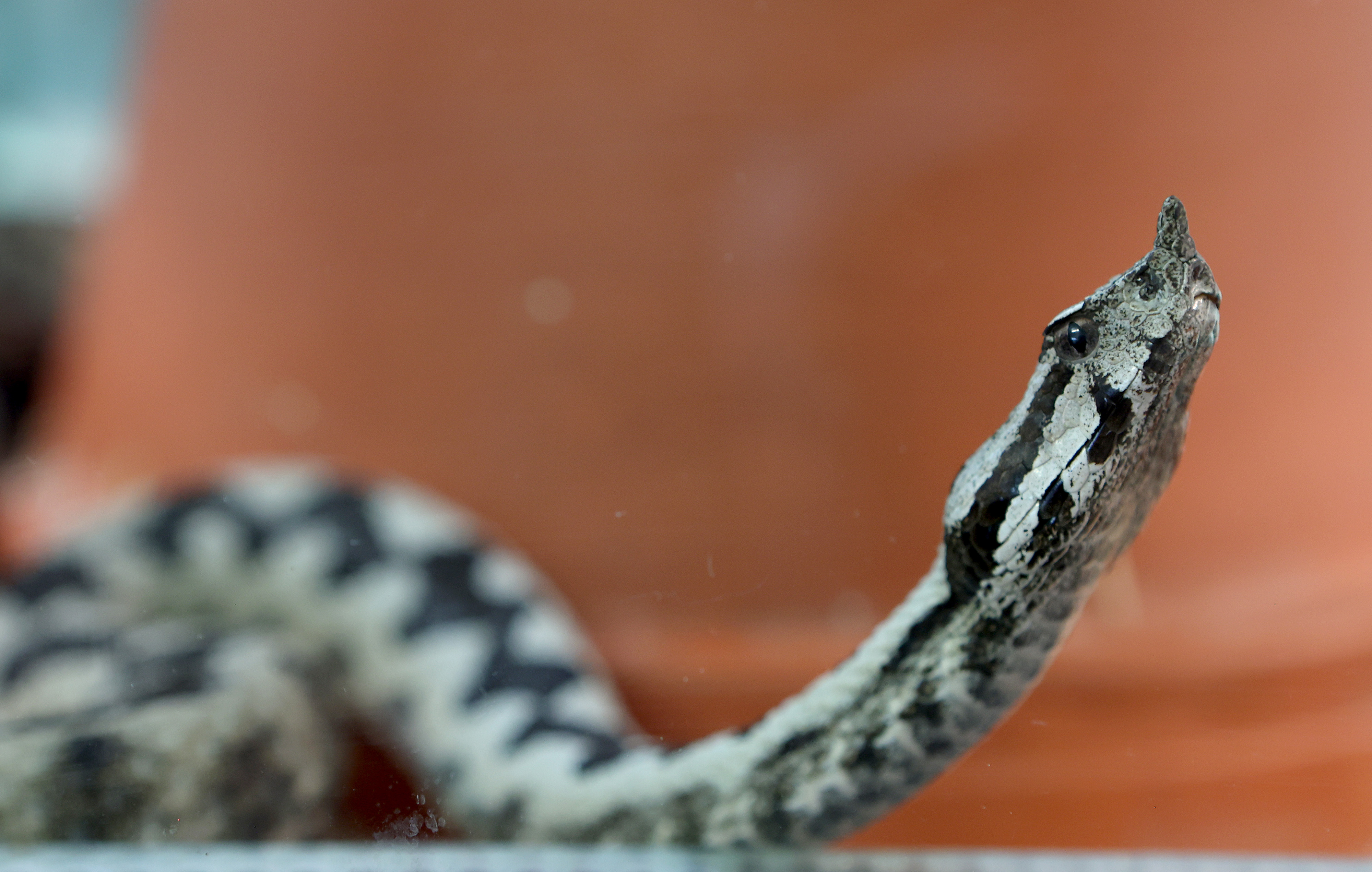 Sveta Nedelja: Ministar Beroš posjetio lokaciju buduće tvornice Imunološkog zavoda