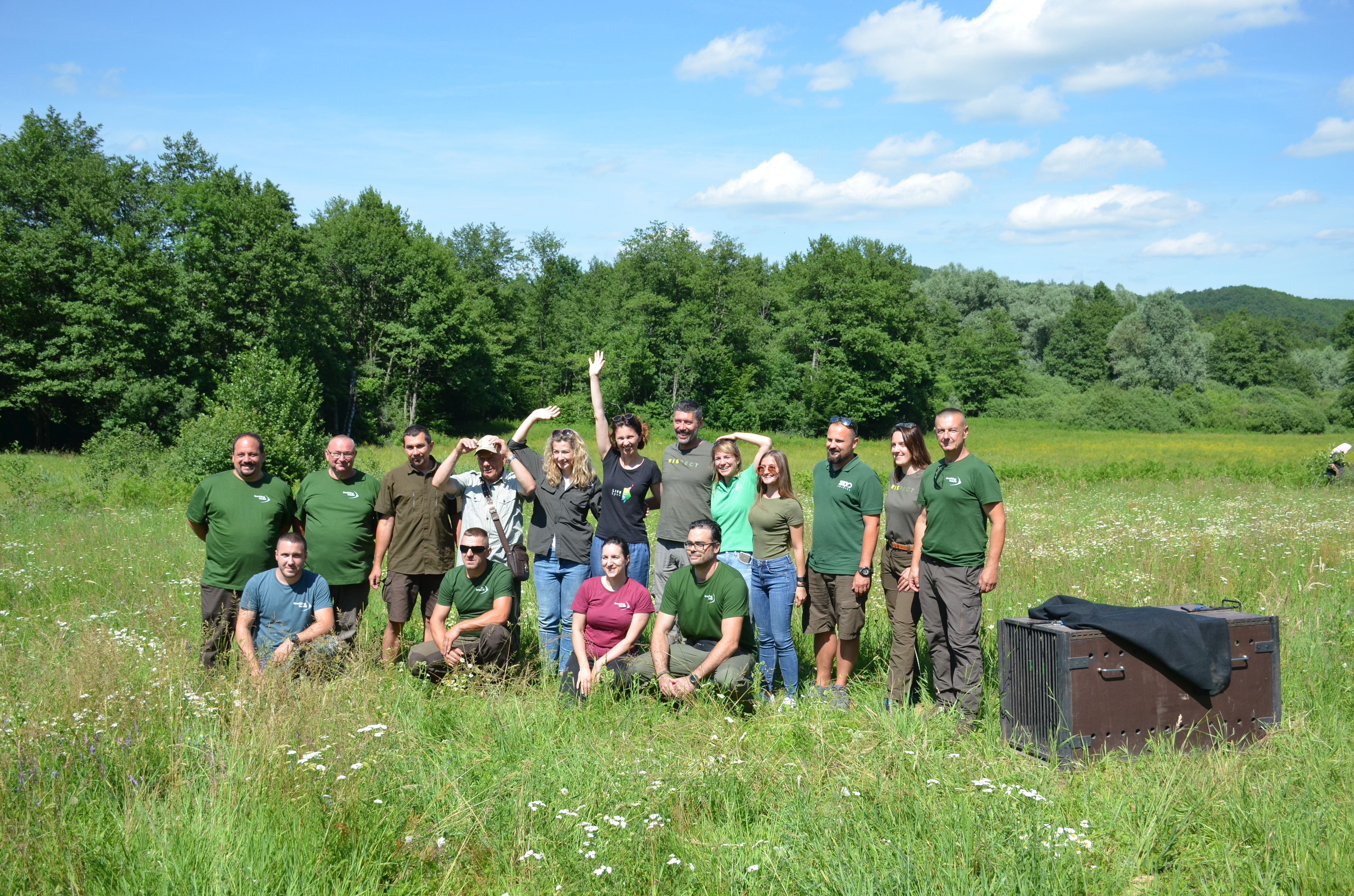 Life Lynx / Elena Morozova
