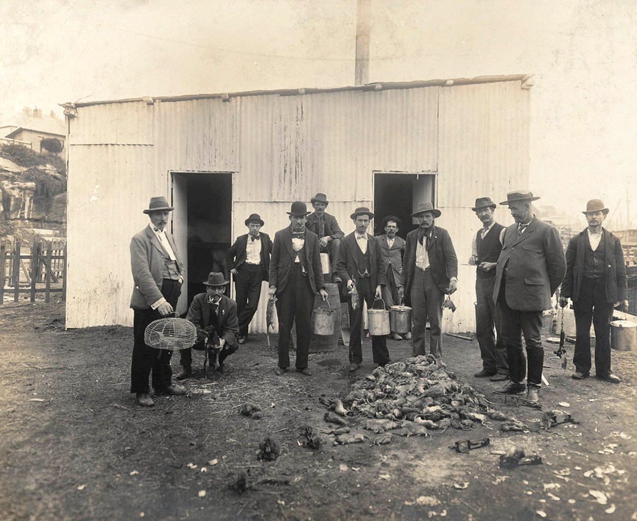 Professional rat-catchers behind a pile of dead rats, during the outbreak of bubonic plague in Sydney in 1900