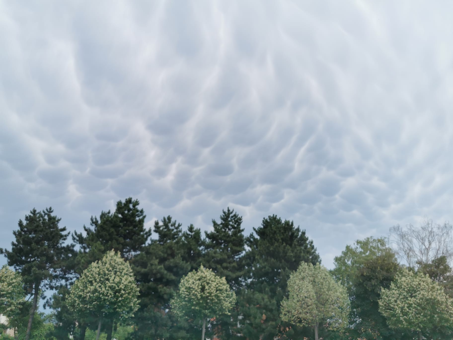 Mamatusi, oblaci, nevrijeme, oblačno vrijeme, mammatus oblaci