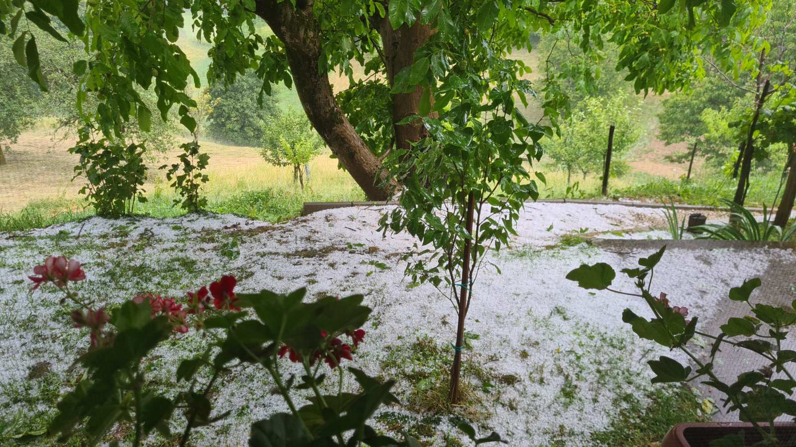 287635241_388257743280997_6956684682196389381_n