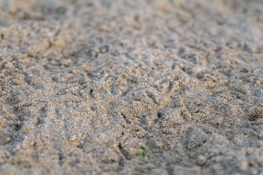 1656105032-DSC_6214-900x600 (1)