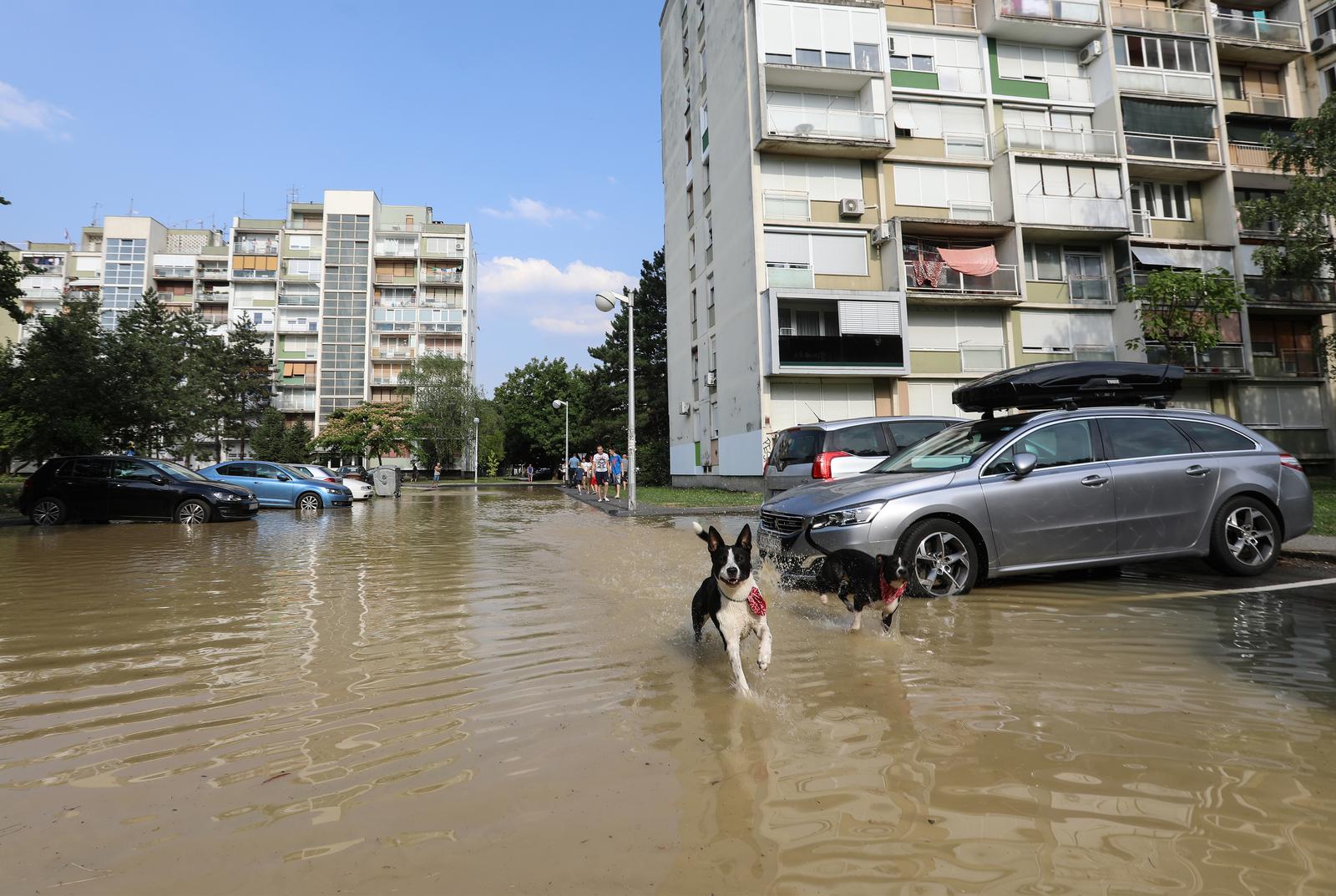 Zagreb: U Gajnicama pukla cijev, poplavila cijelu ulicu