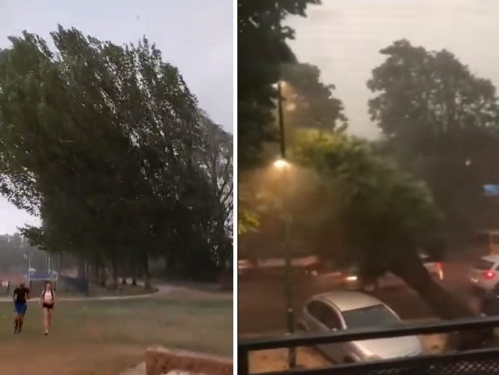 Nevrijeme-pad-stabala-1024x770