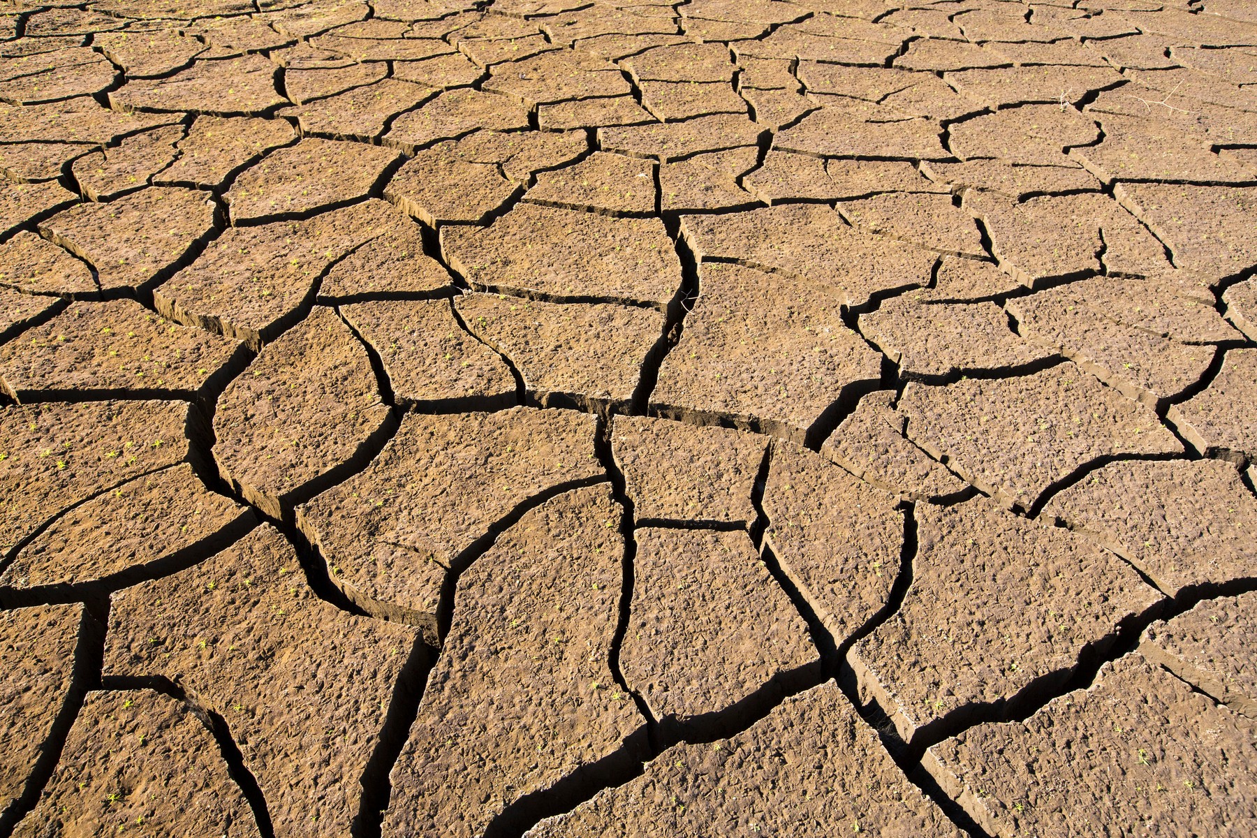 Drought, Lake Isabella, California, USA