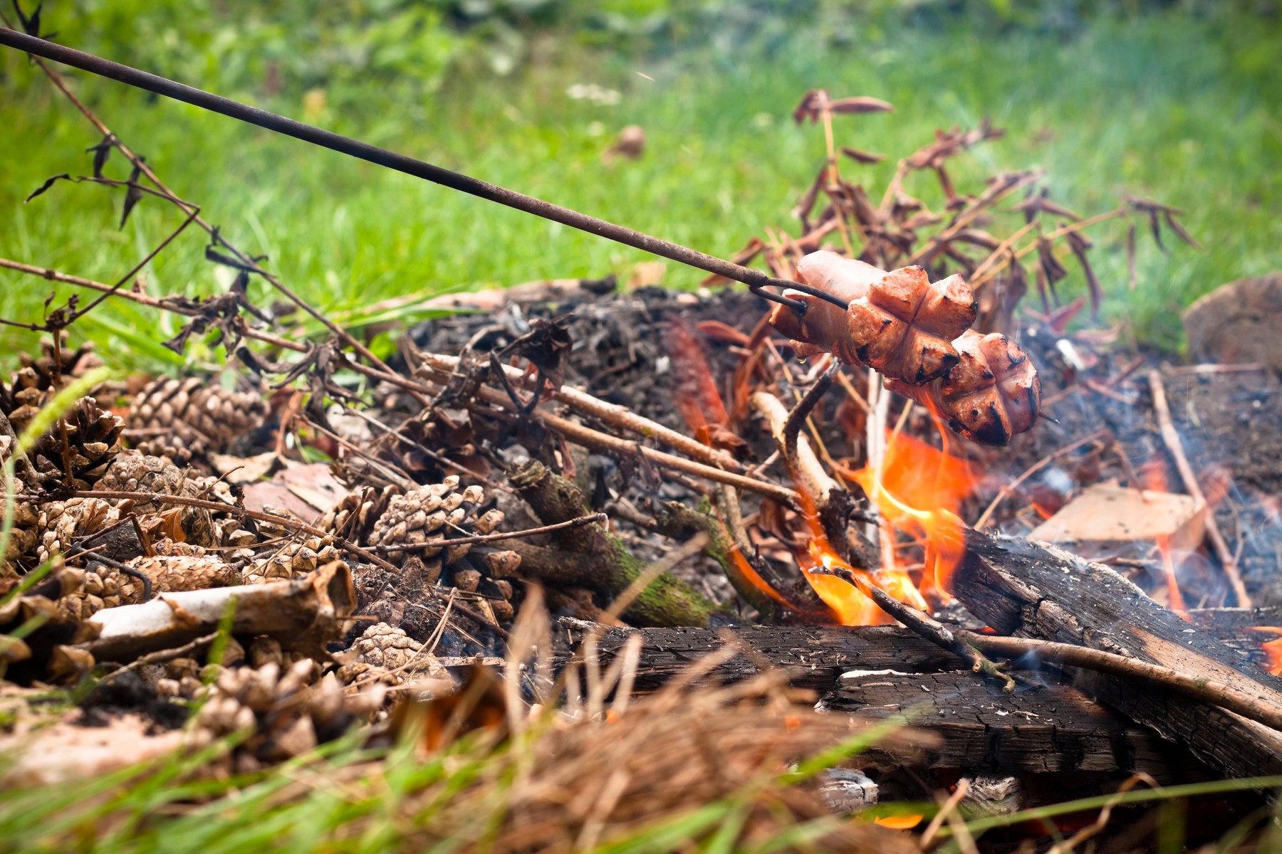 Roasting sausages on campfire in the garden.