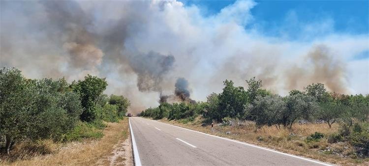 293592231_351684713802335_2801290380008292433_n