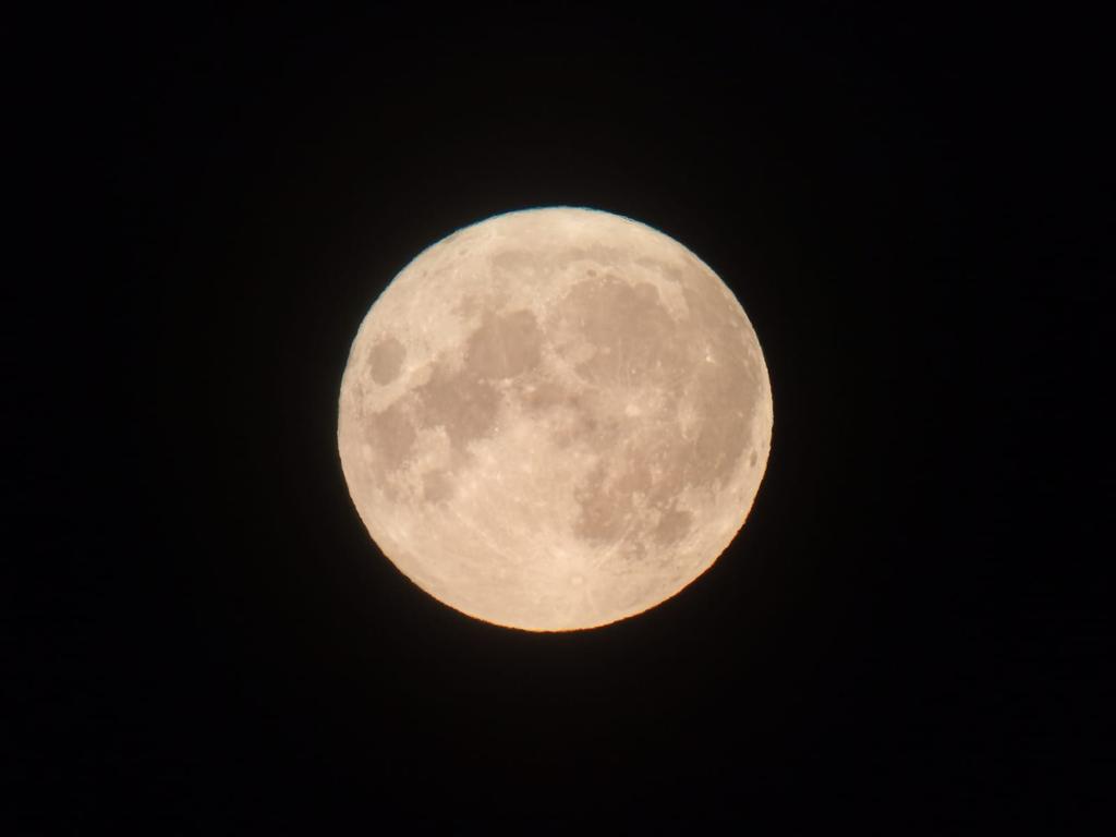 WhatsApp Image 2022-07-13 at 9.59.35 PM (2)