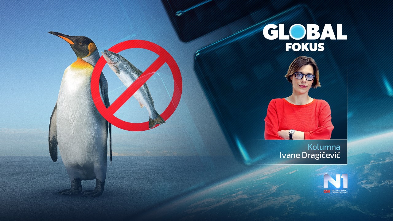 thumbnail_Global-fokus-KOLUMNA-pingvin