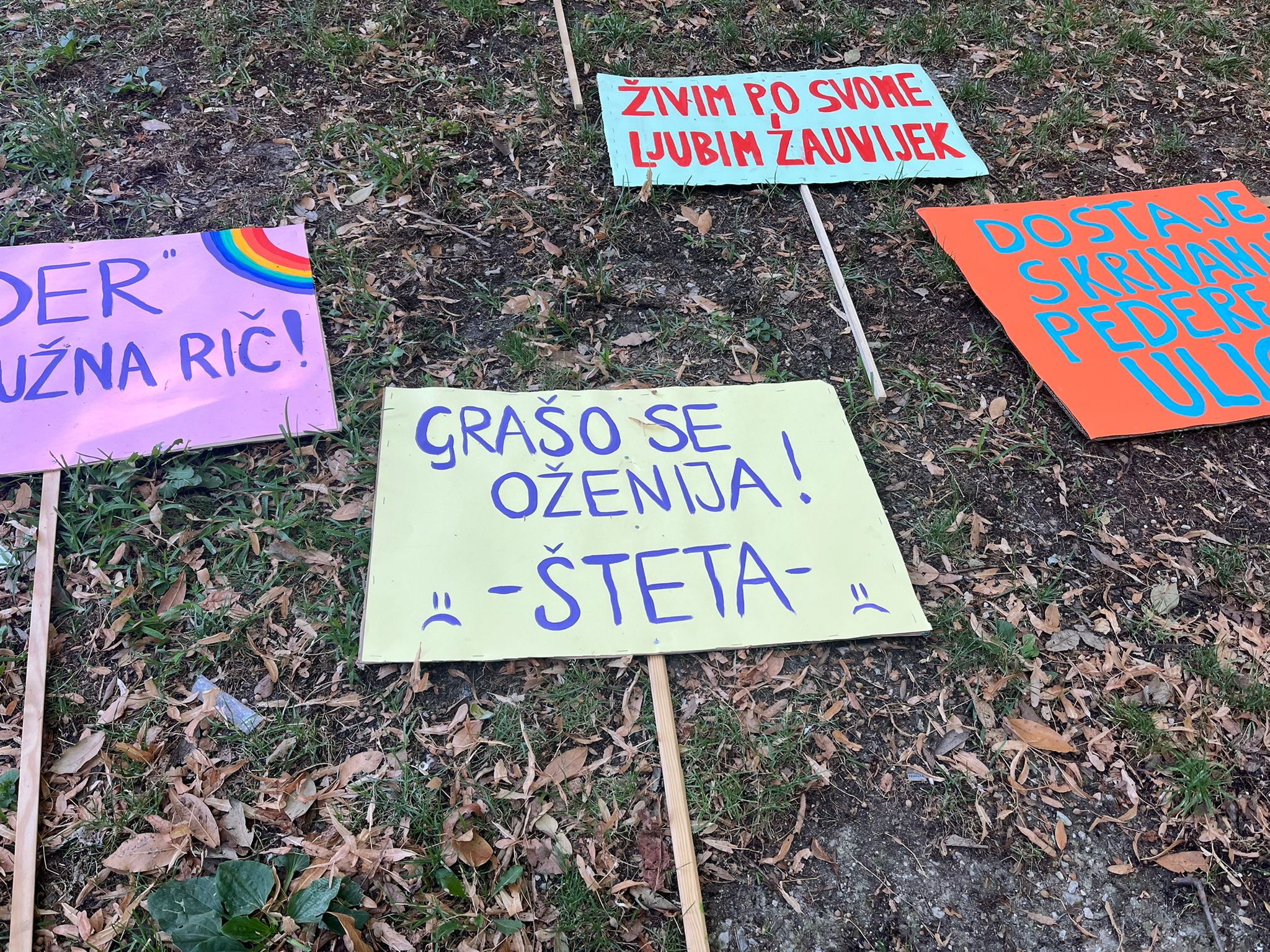 Vesela Šegvić / N1