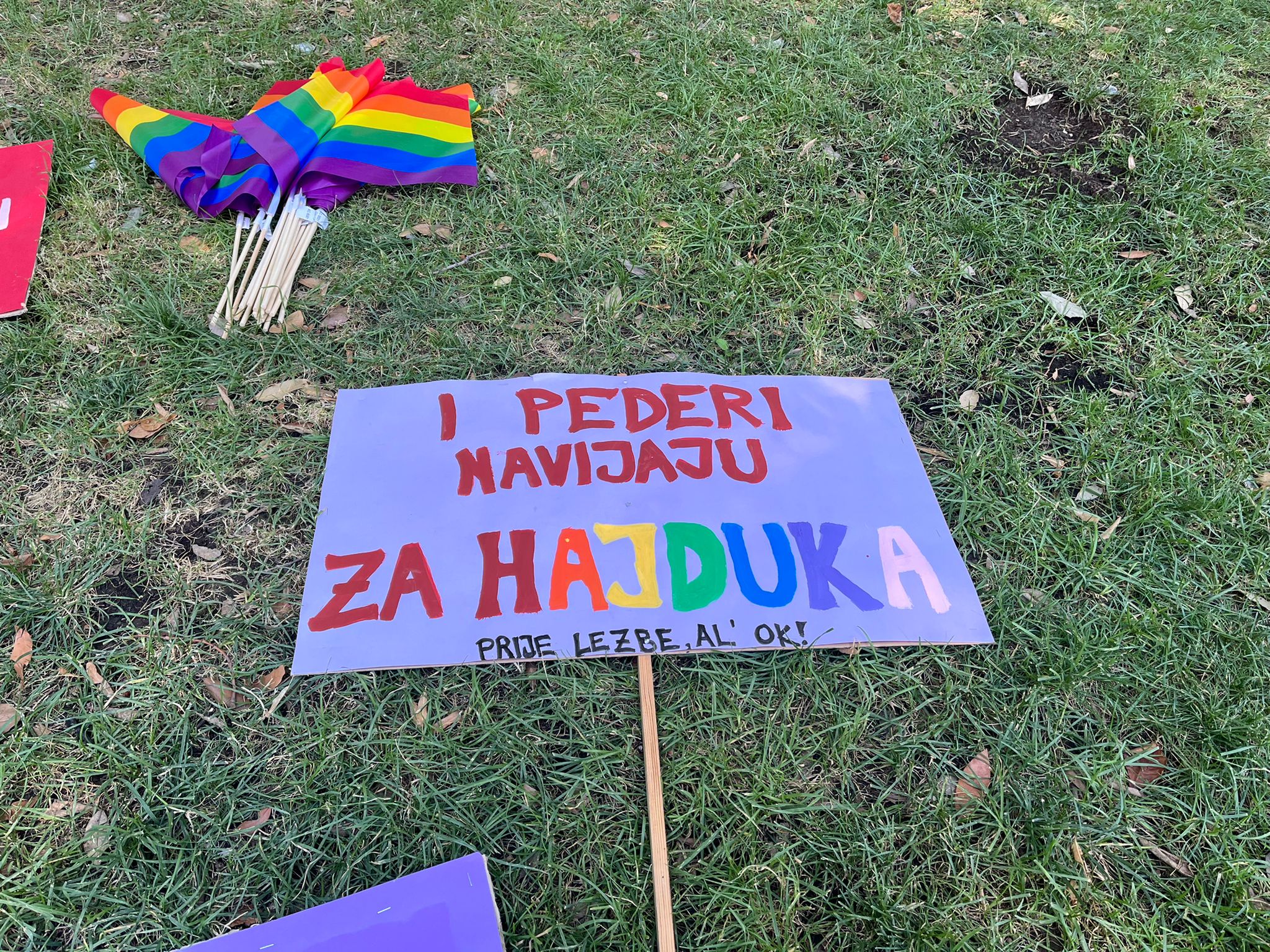 Vesela Šegvić / N1