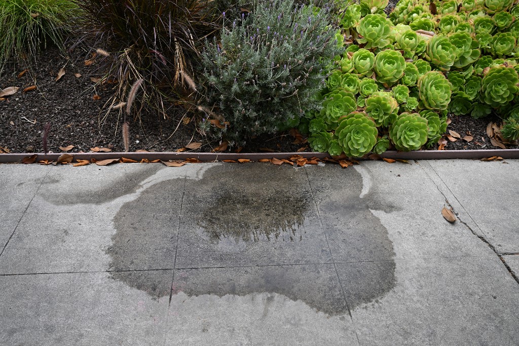 los angeles, suša, voda