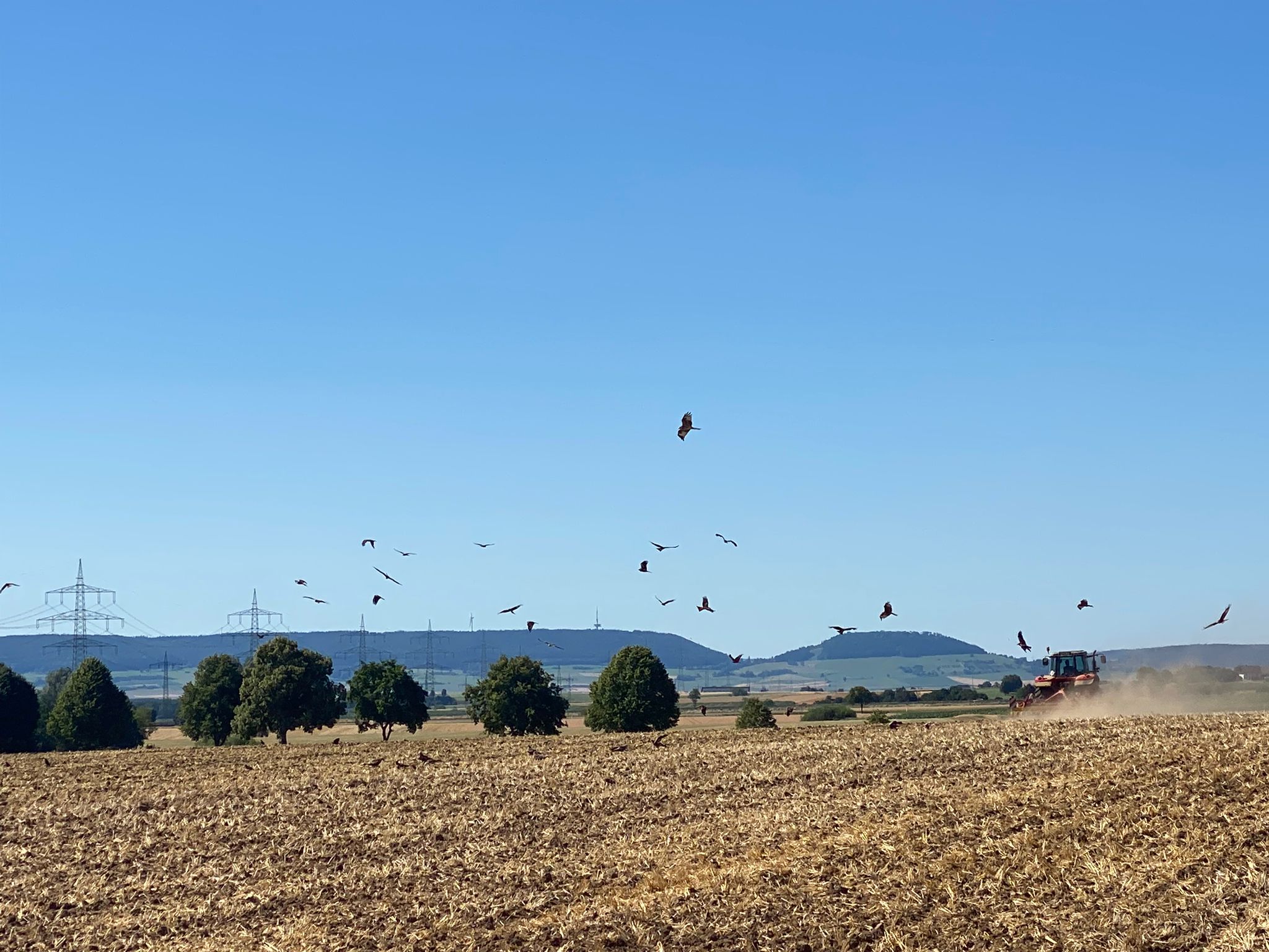polje, oranica, njiva, traktor, poljoprivreda, poljoprivrednik, selo, seljak, price, priroda, nebo, ljeto
