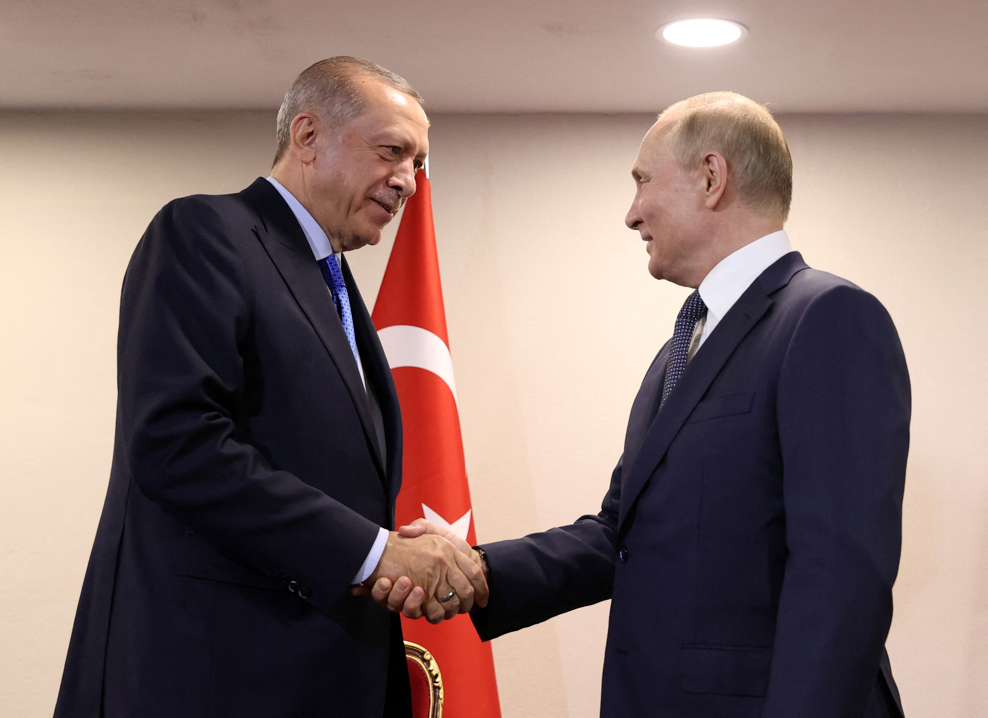 recep tayyip erdogan, vladimir putin,