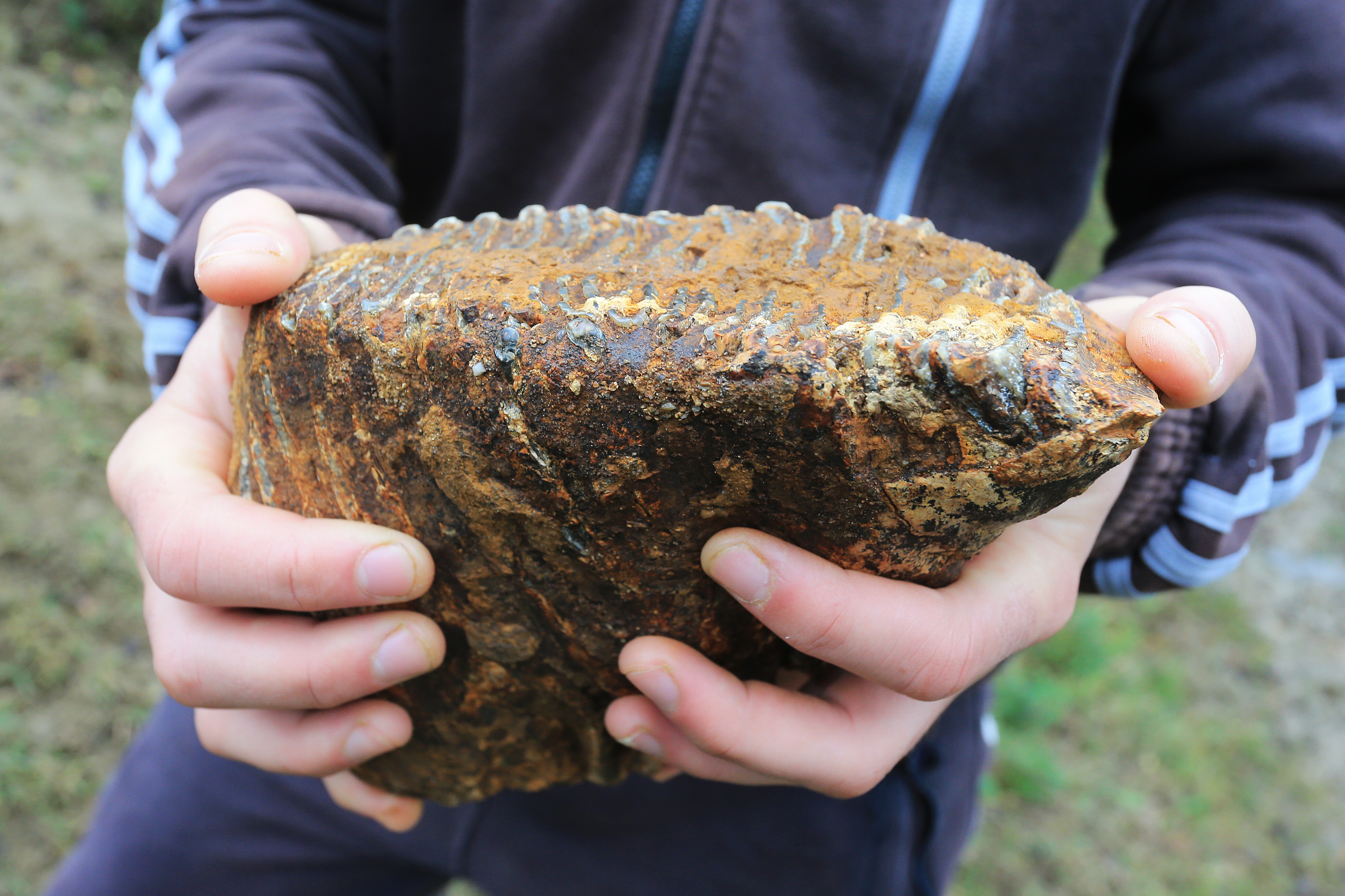 Mohovo: Goran Popovi? pronaao je zub mamuta na svojoj zemlji