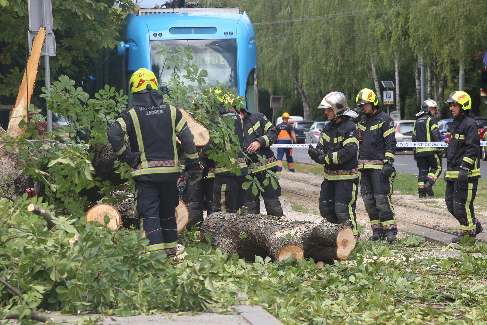 zagreb, stablo, nesreća