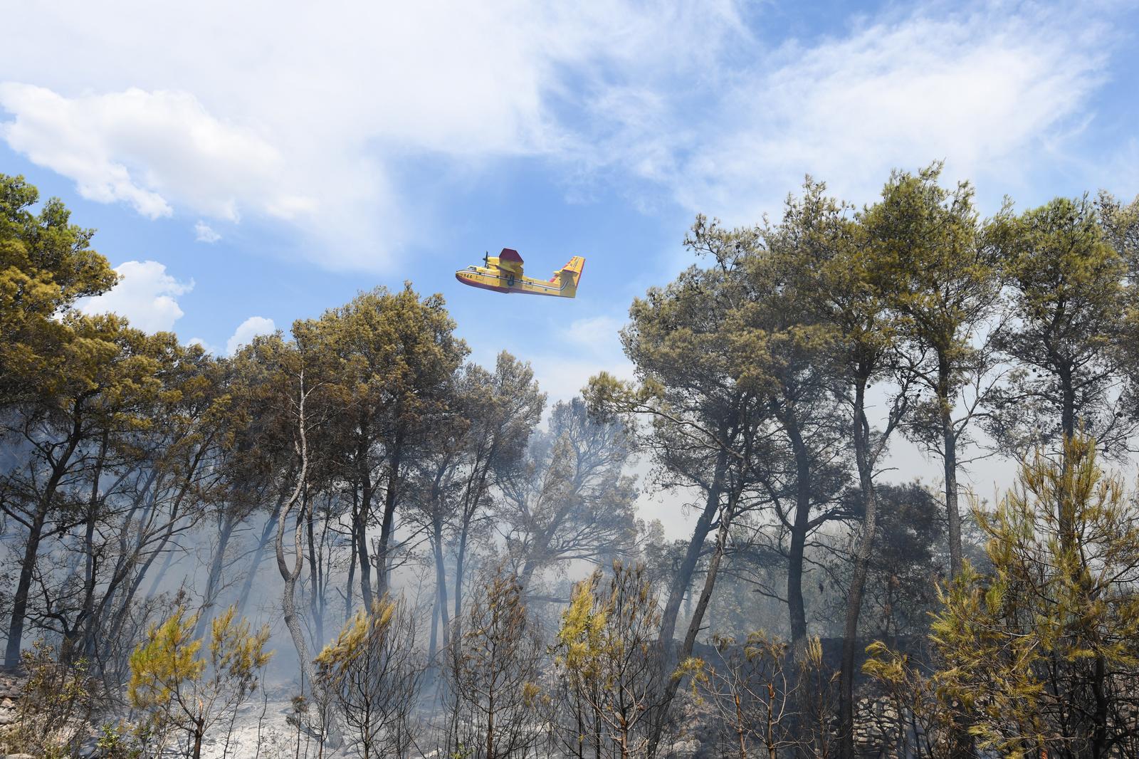 Požar u Dubravi kraj Šibenika gase kanaderi  i zemaljske snage
