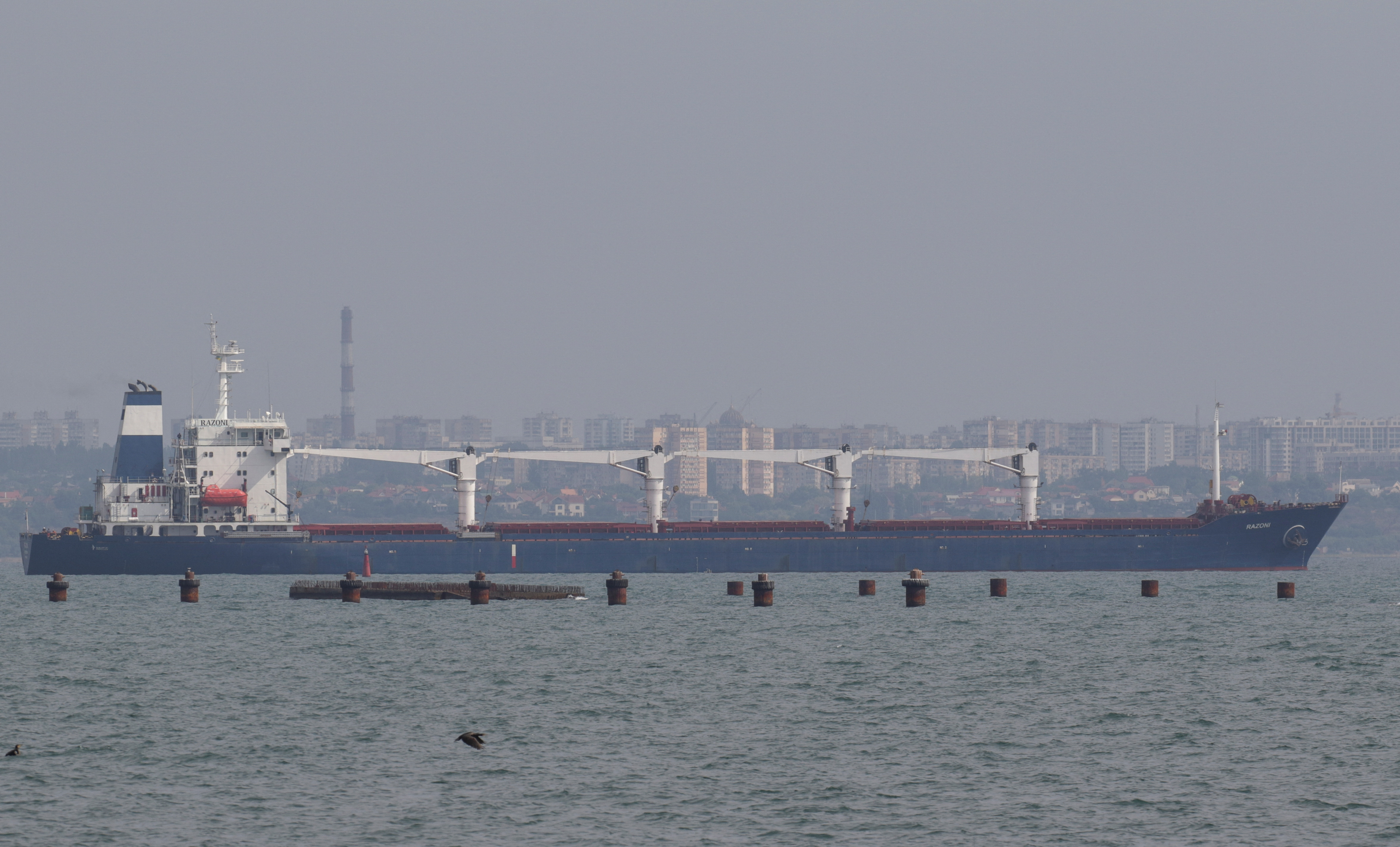 ukrajinski brod, žitarice