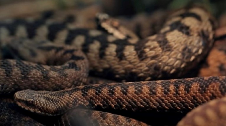 dbdb2c5d-426f-4cc9-aaab-45d63e30fa7f