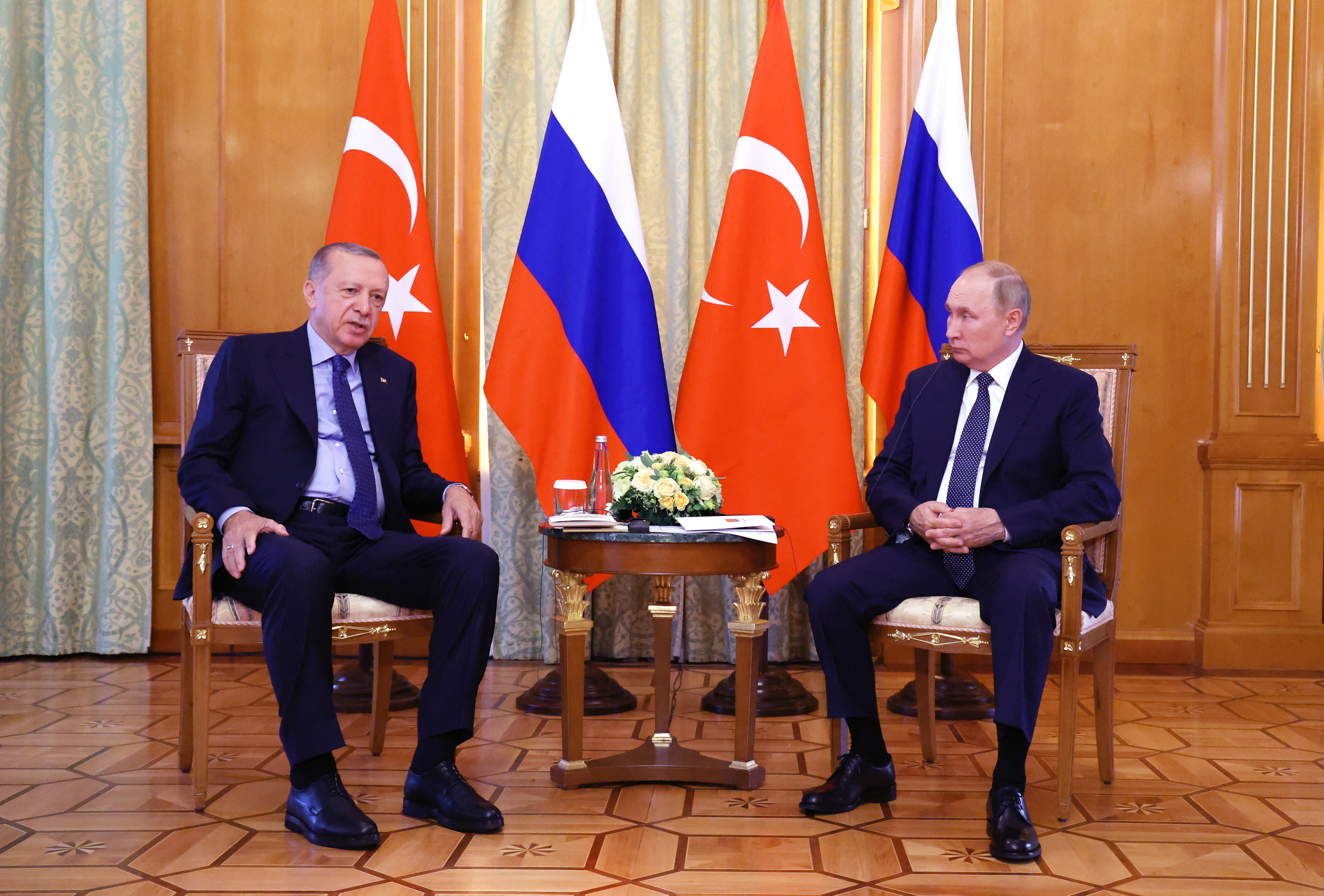 Recep Tayyip Erdogan, Vladimir Putin