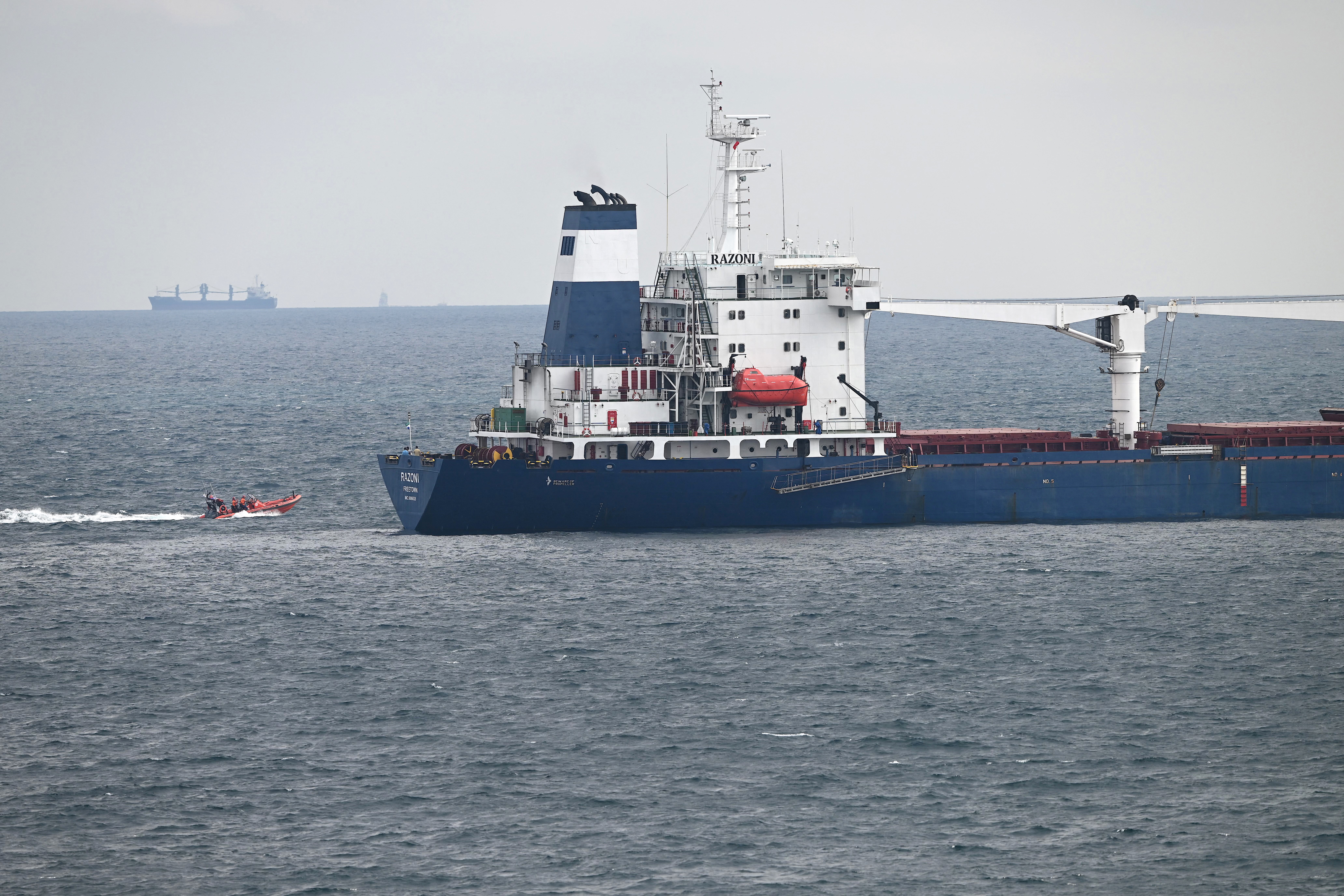 brod, ukrajina, hrana, žitarice, brod iz ukrajine