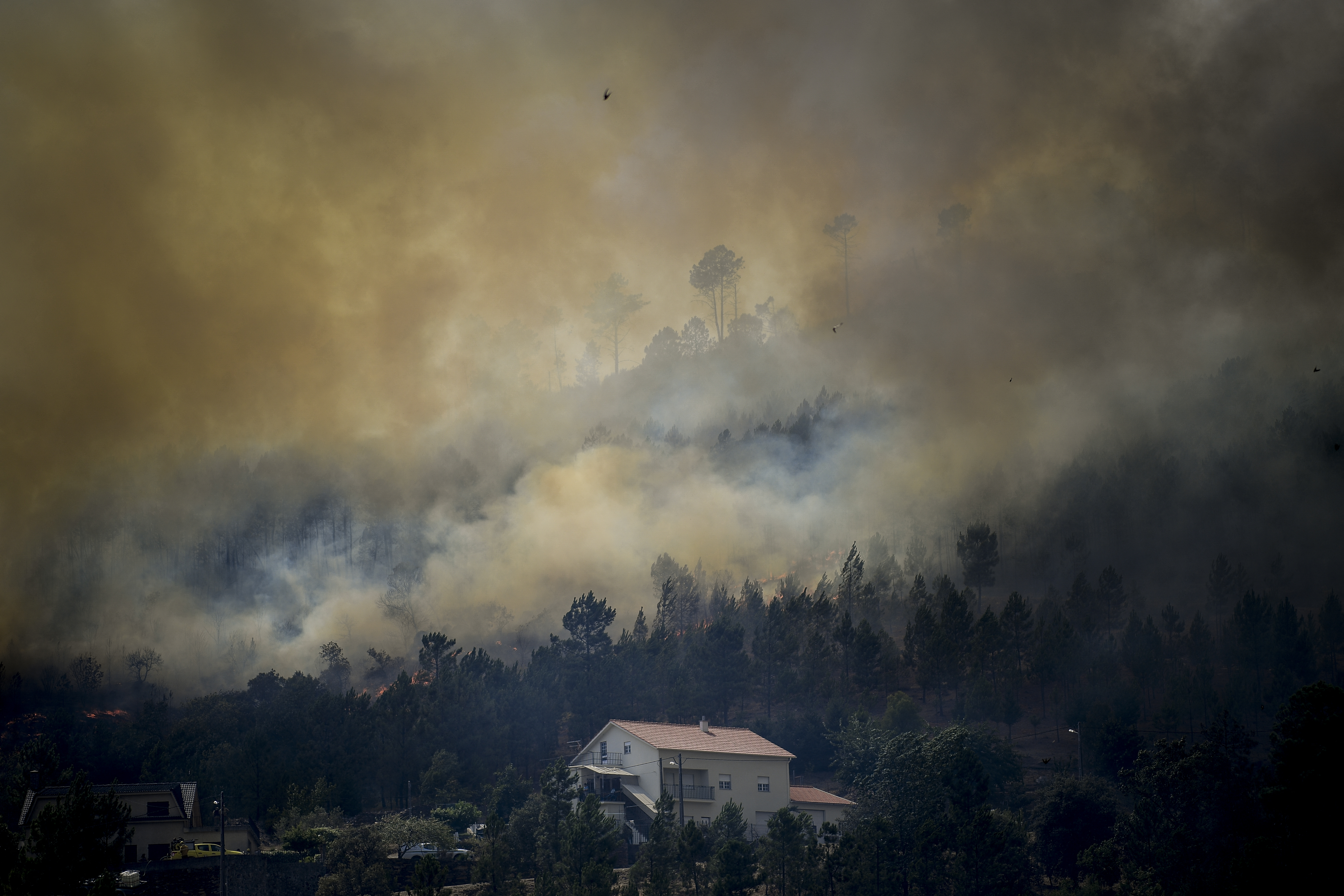 požar, portugal