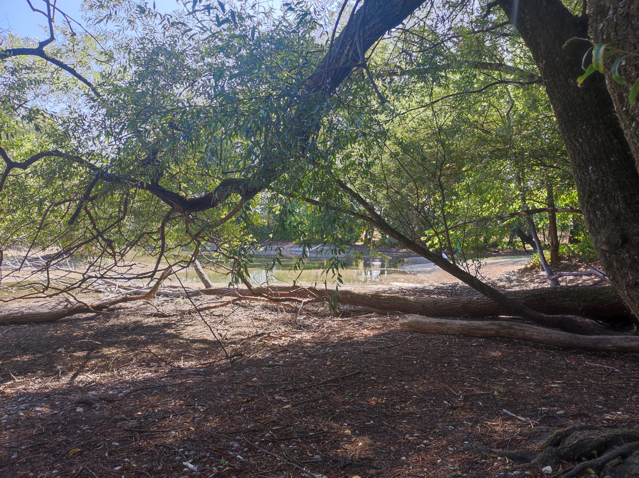 Nikolina Matošević/N1