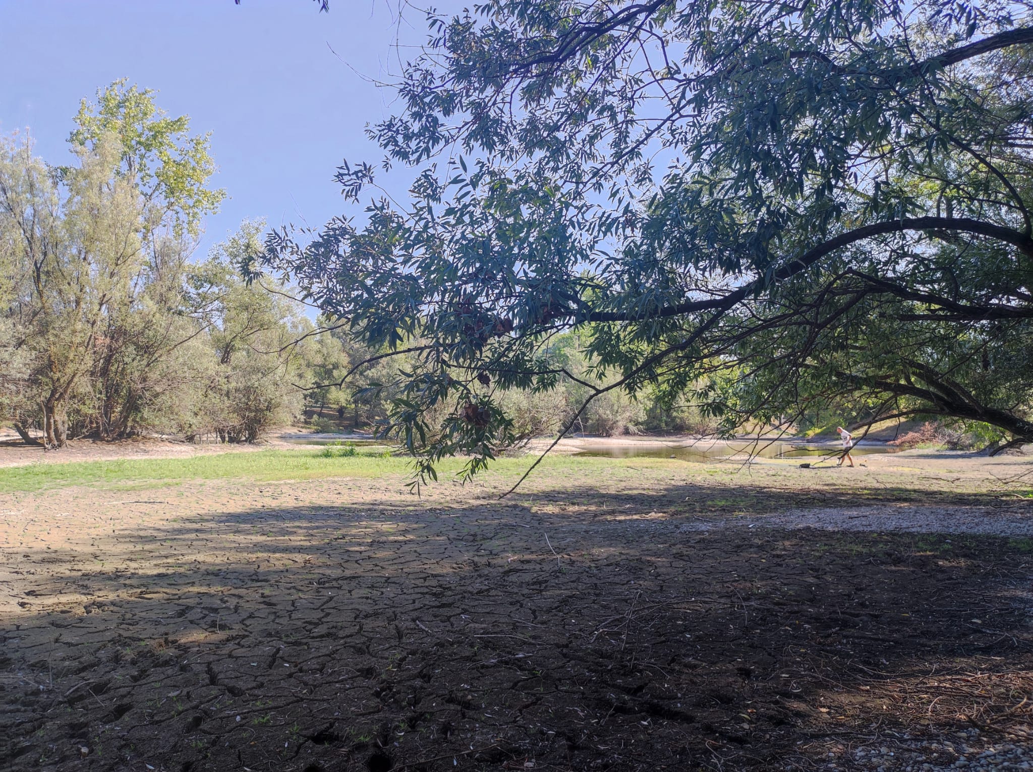 Nikolina Matošević/N1