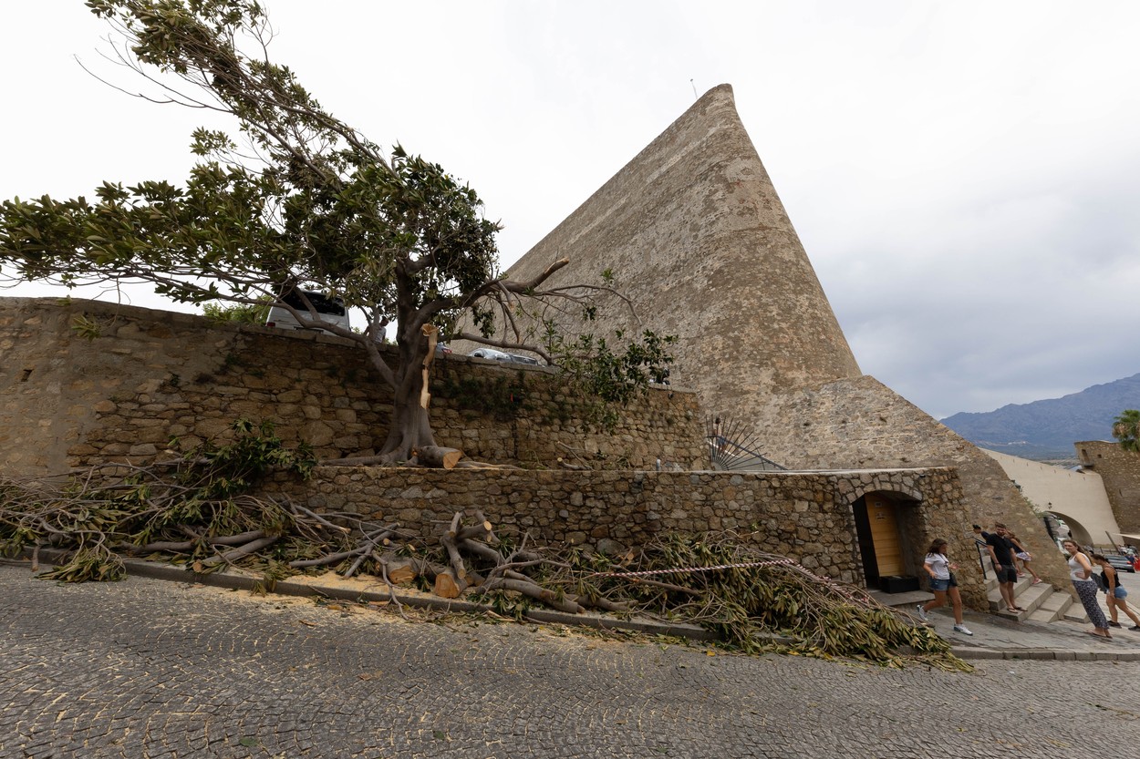 SplashNews.com / Splash / Profimedia