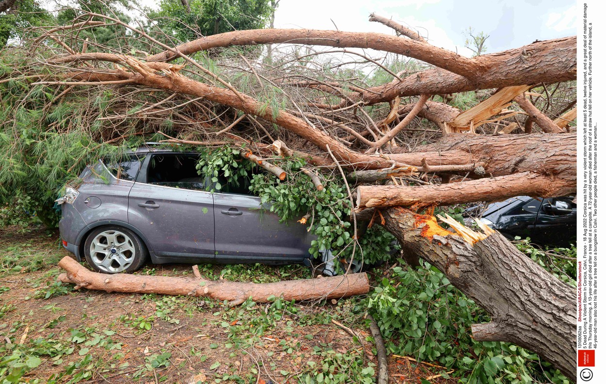 Shootpix/ABACA / Shutterstock Editorial / Profimedia