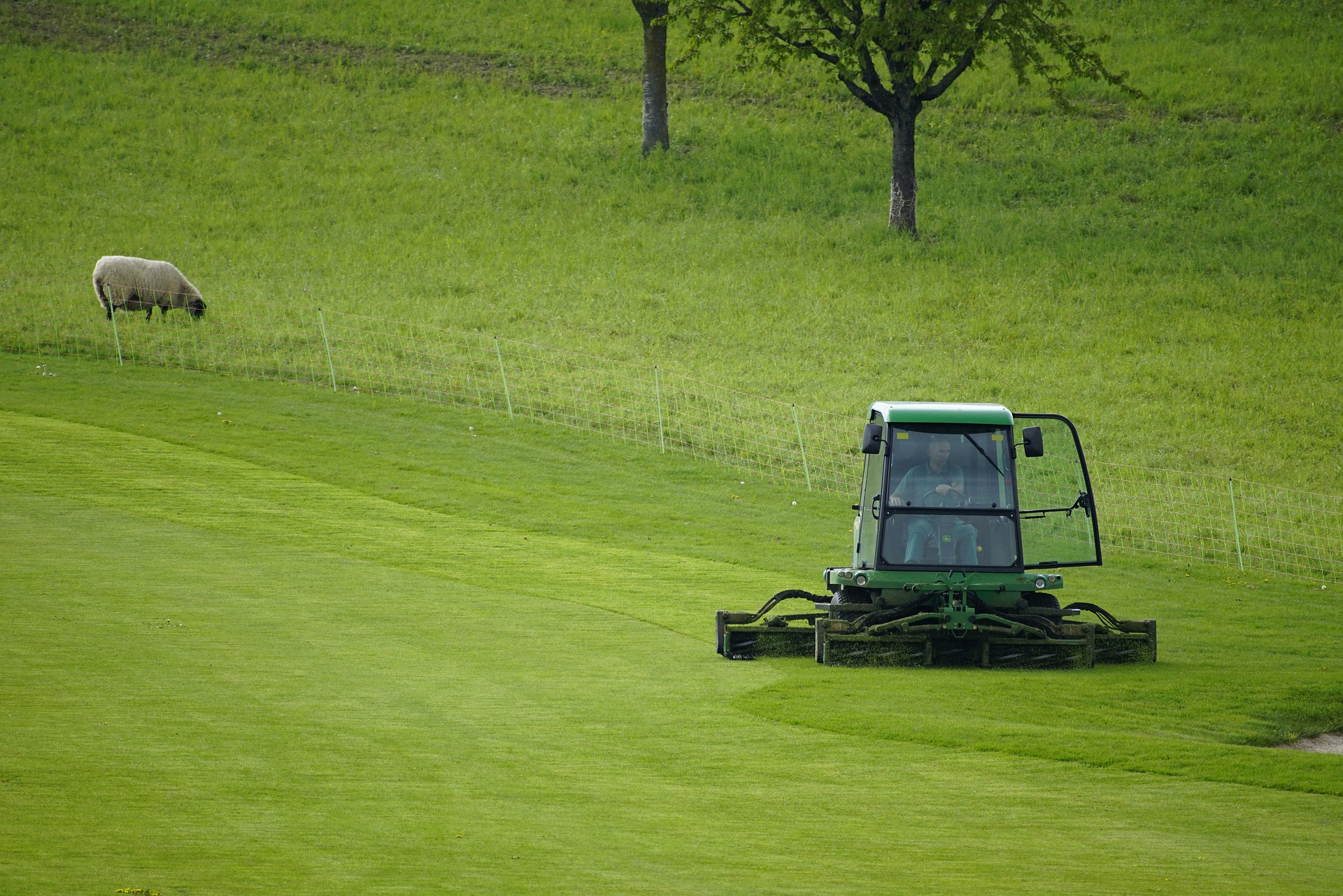 kosilica, košenje trave,