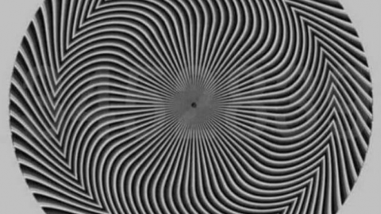 1660897355-09ea9b2649e1fe3f911a-750x422