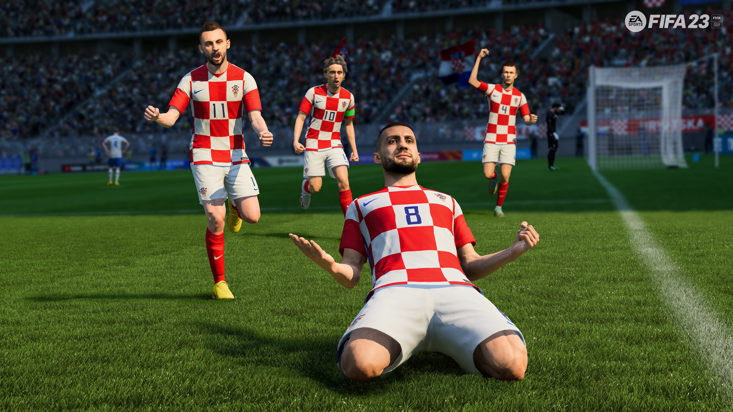 HNS EA SPORTS2