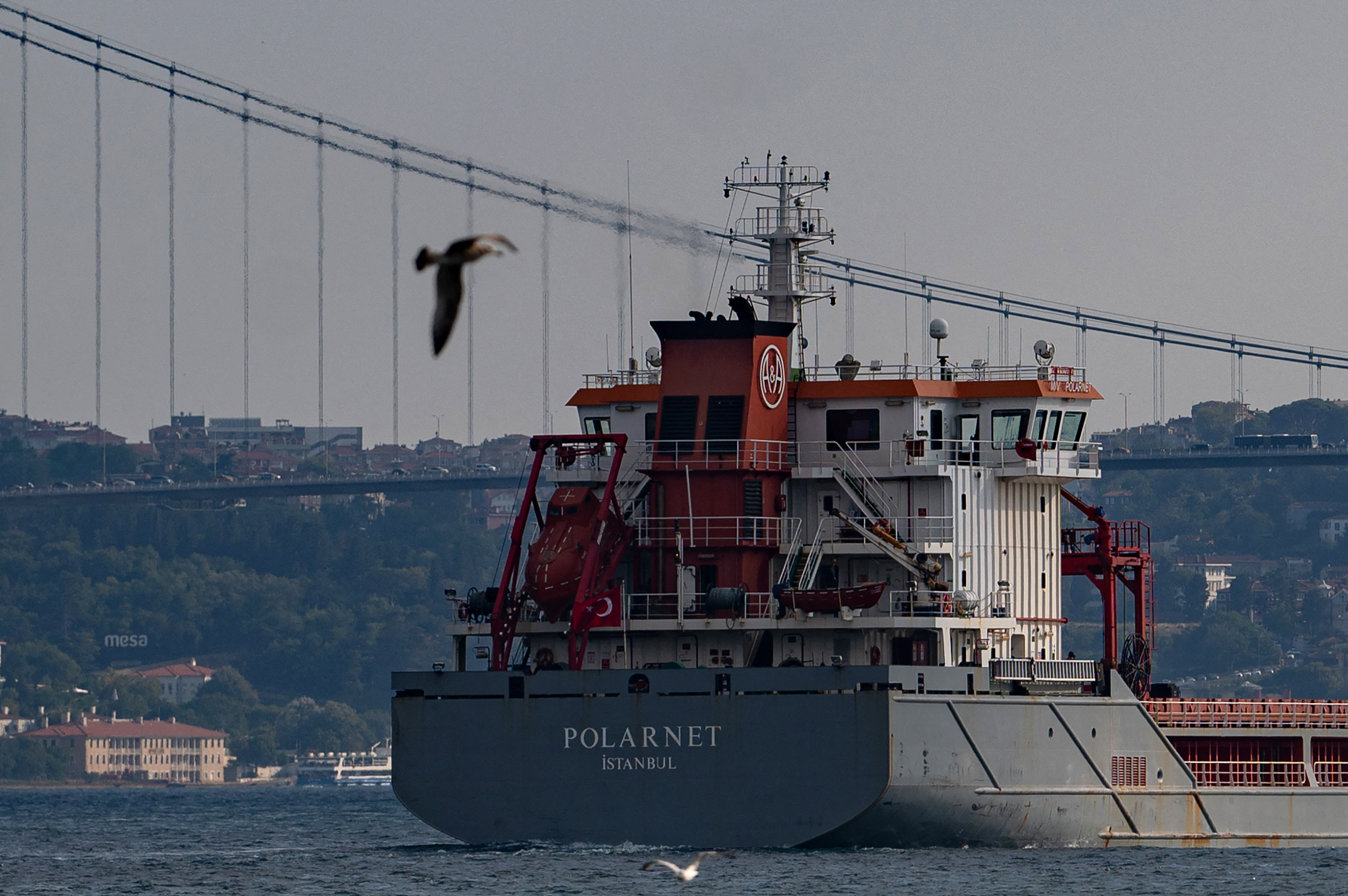 brod, žito, istanbul, ukrajina, turska