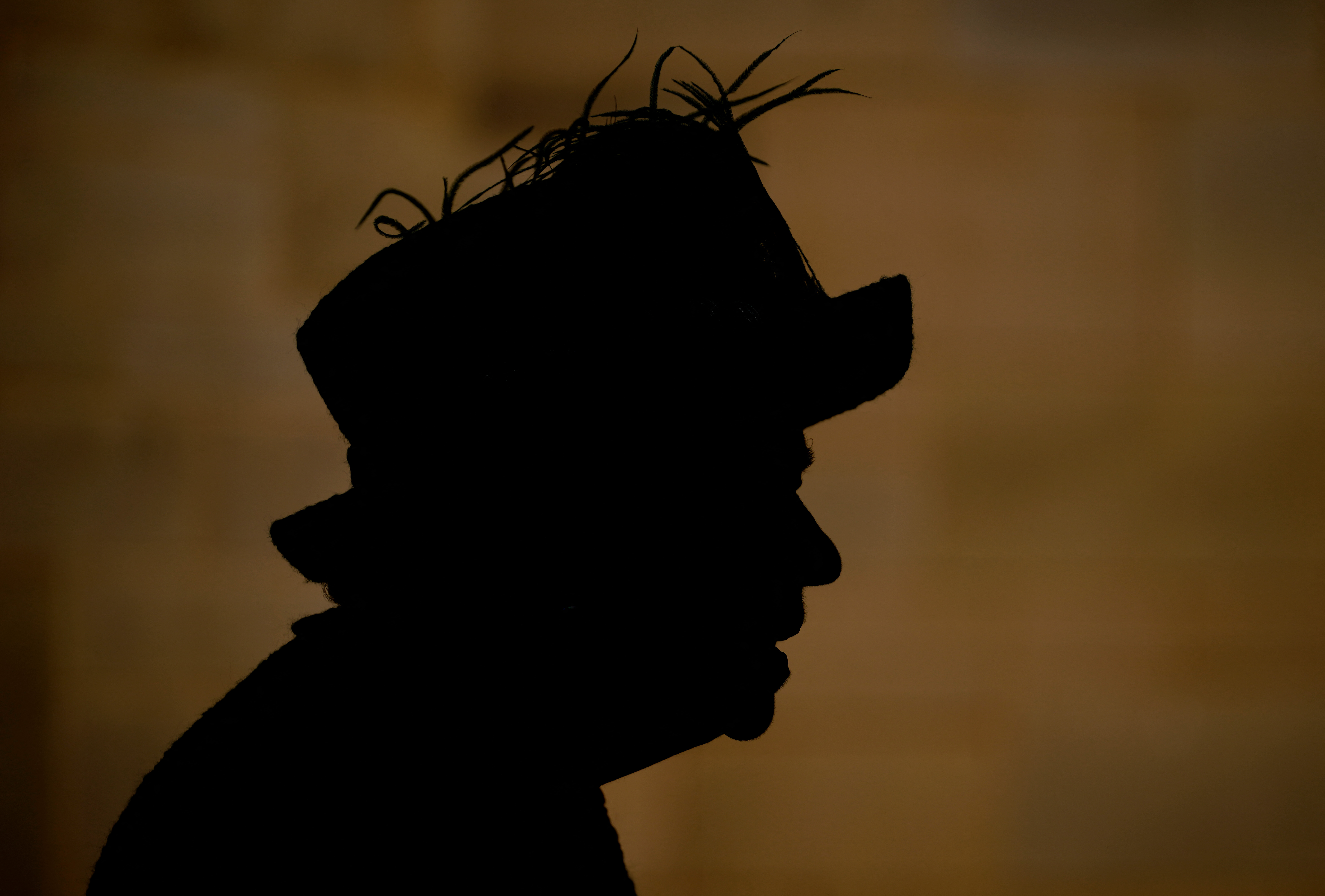 kraljica elizabeta druga, portret,