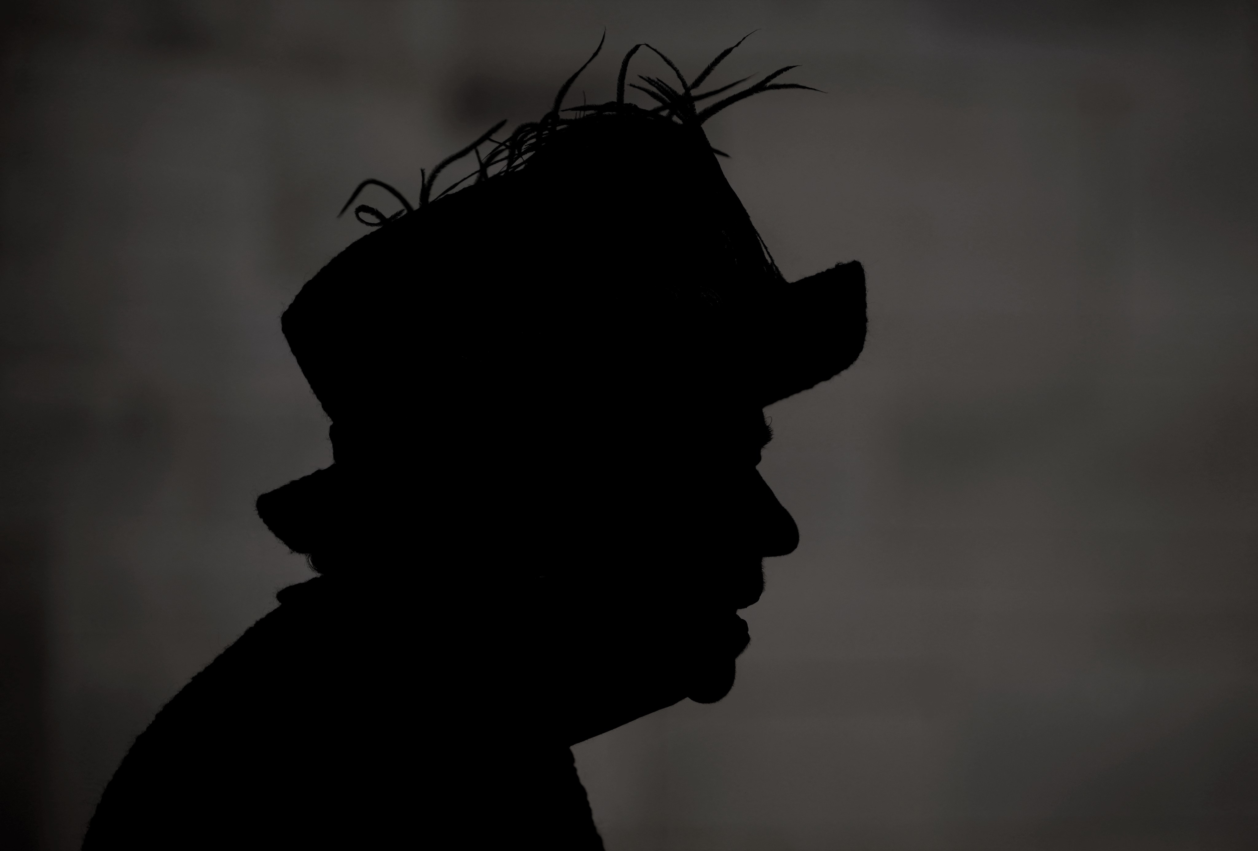 kraljica elizabeta druga, portret,