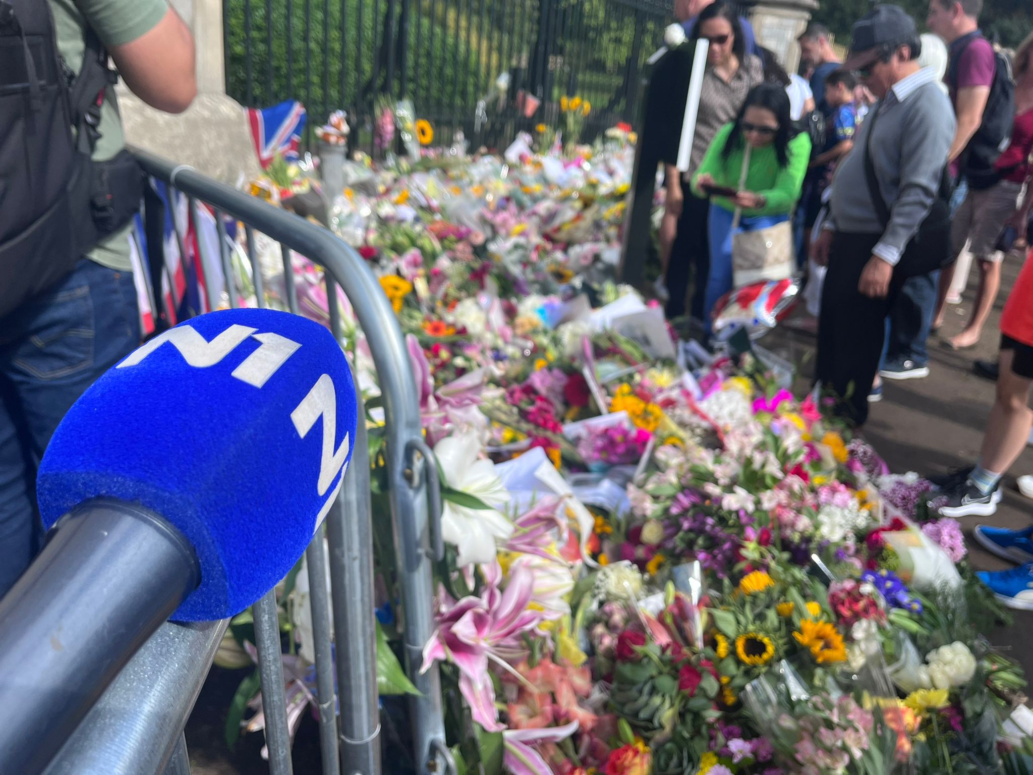 N1 / Iva Puljić  Šego