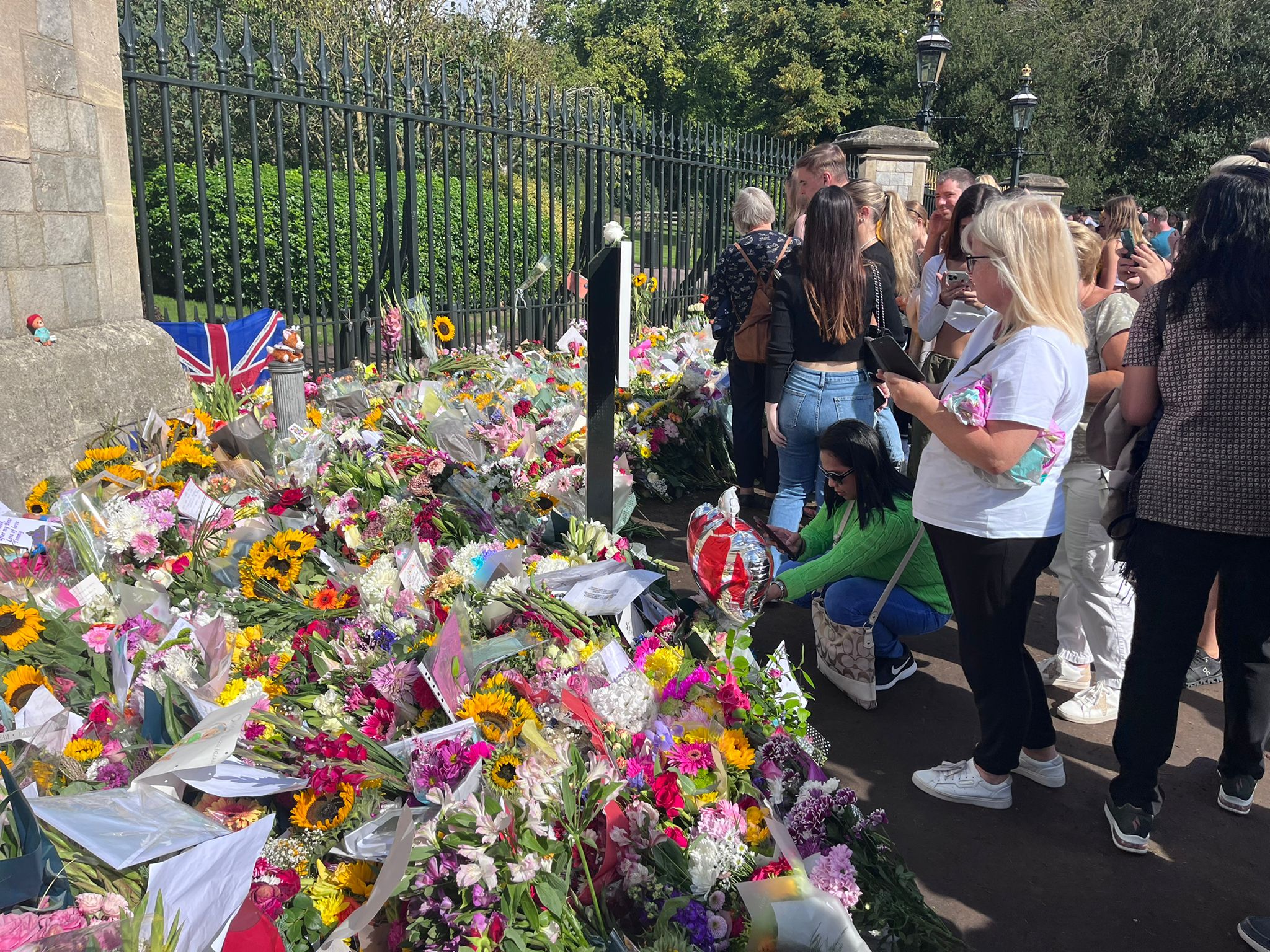 N1 / Iva Puljić  Šego