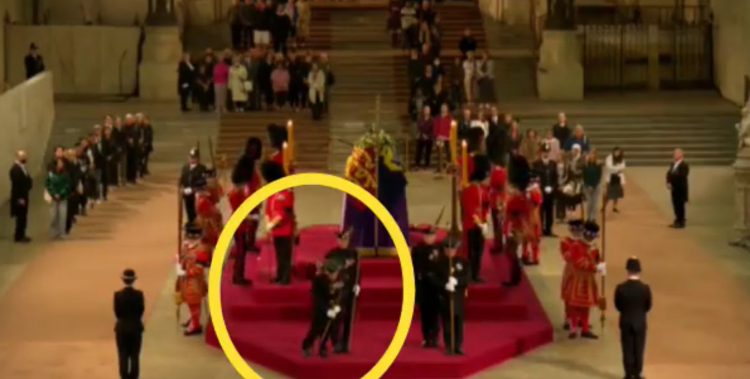 1663230013-strazar-750x379