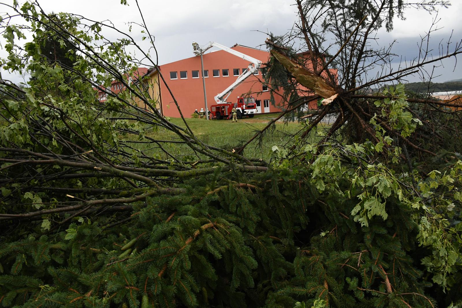 Damir Spehar/PIXSELL