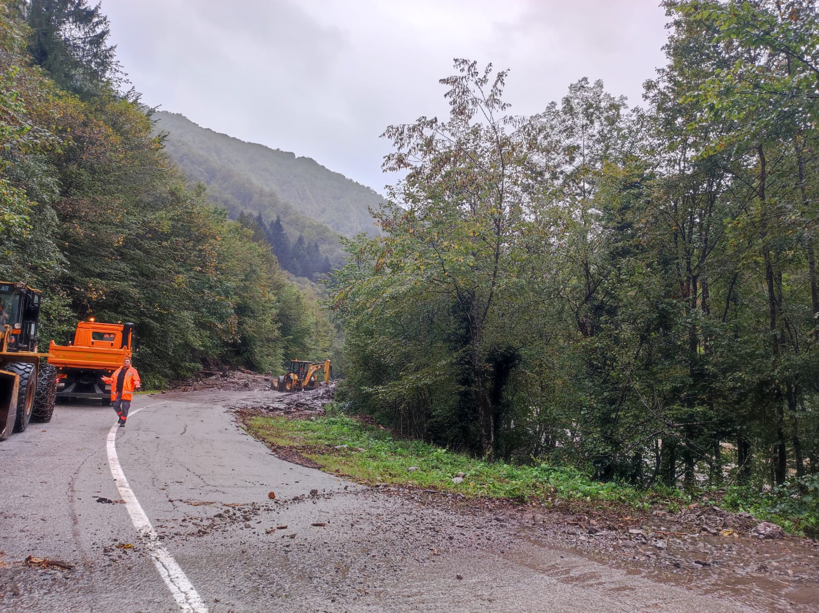 N1 / Nikolina Matošević