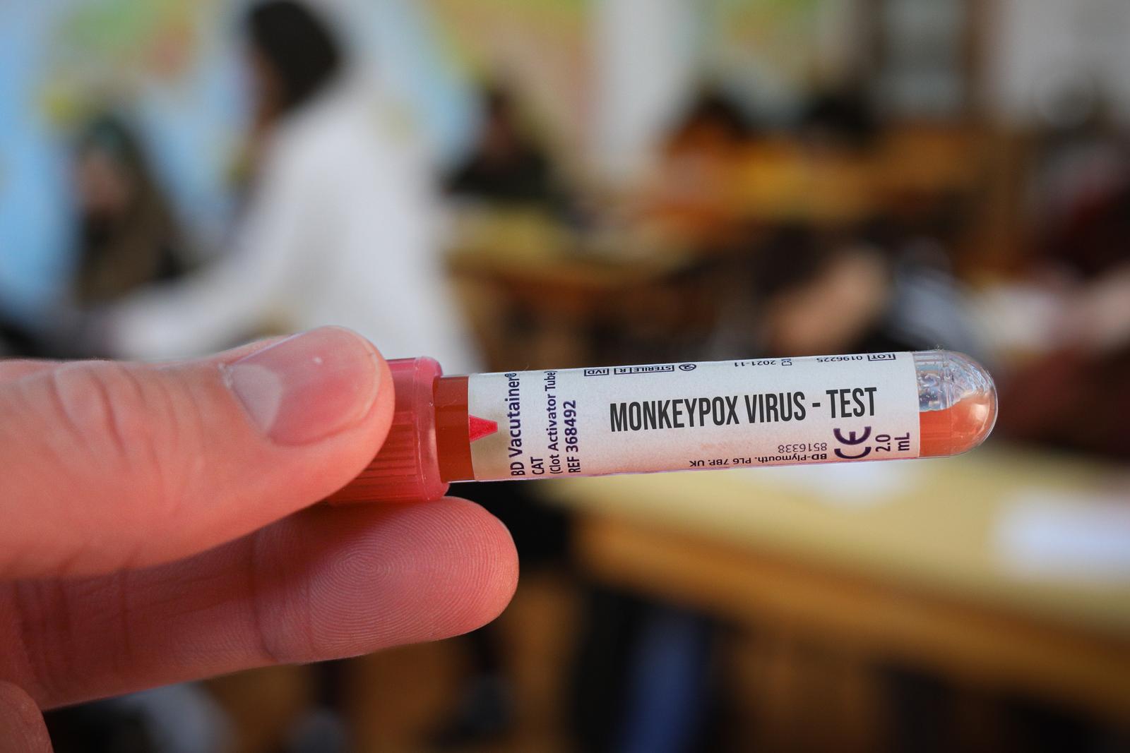 Ilustracija za majmunske boginje